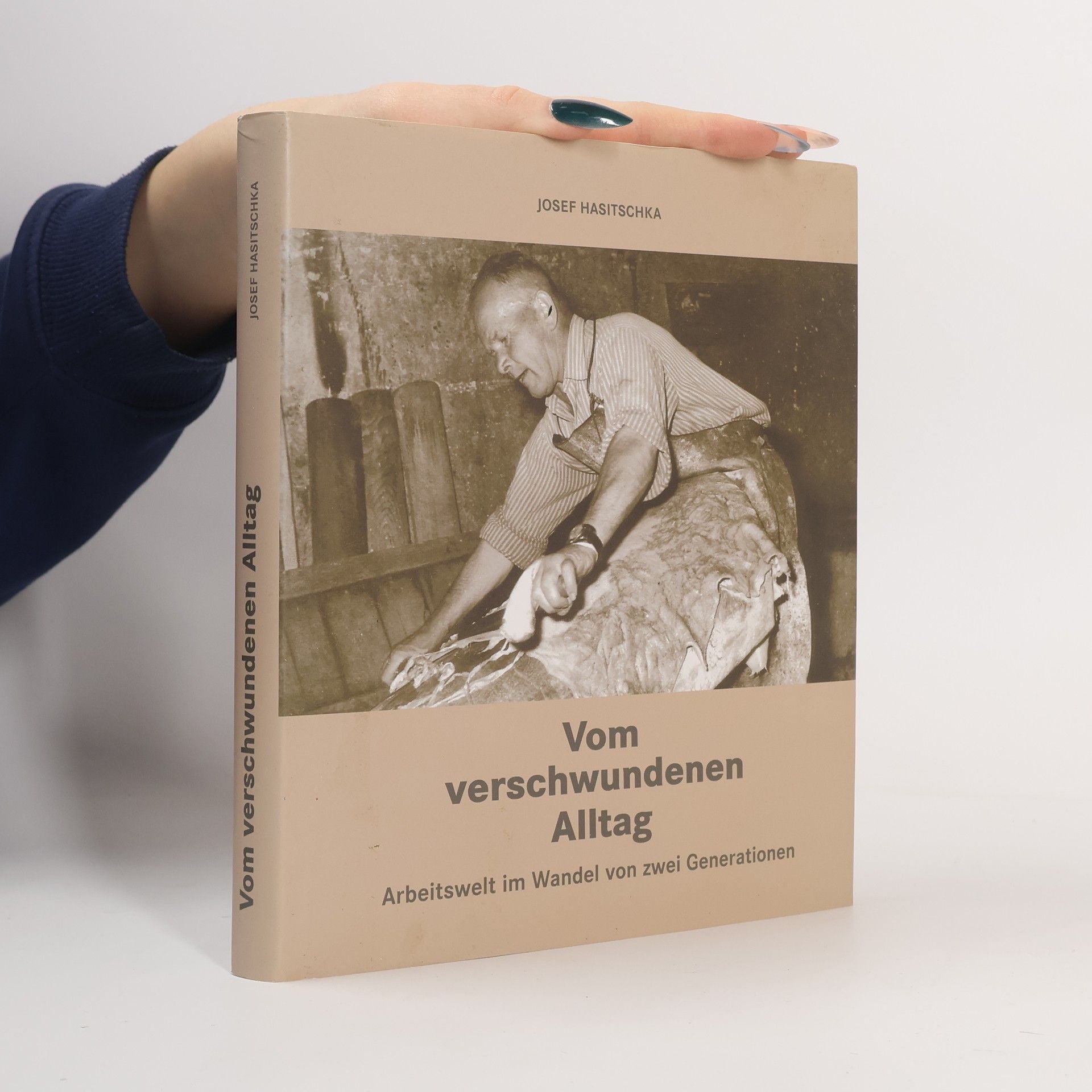 Josef Hasitschka Vom verschwundenen Alltag