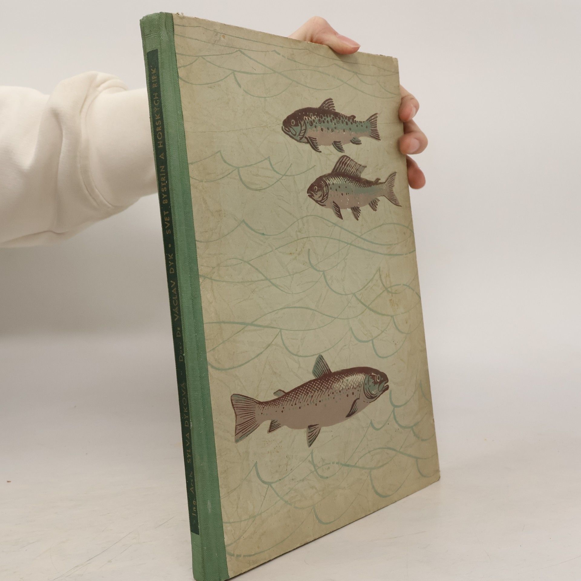 Svet bystrín a horských riek