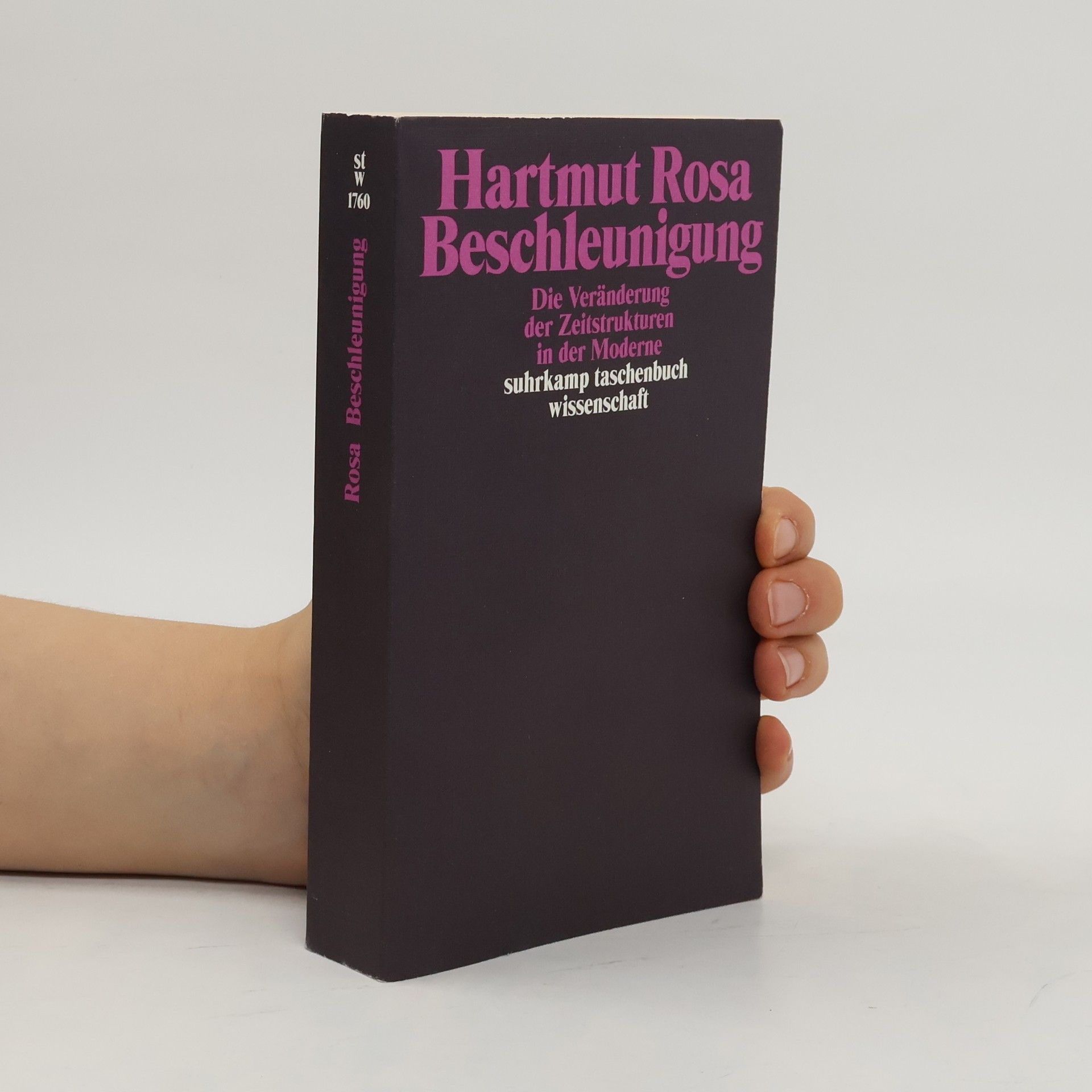 Hartmut Rosa Beschleunigung