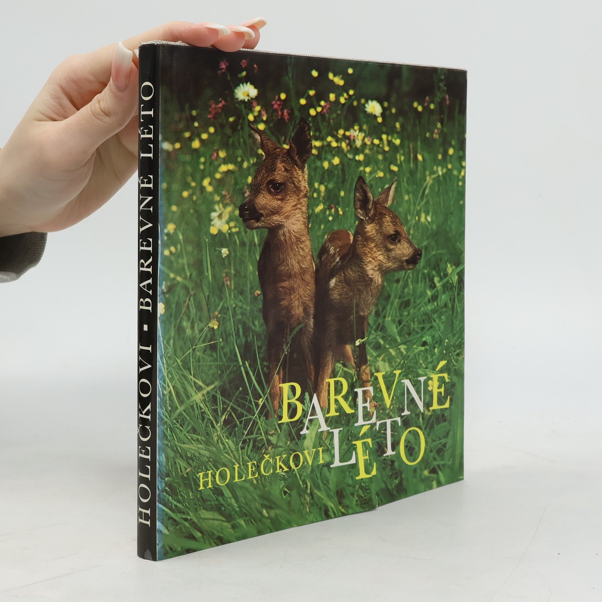 Autores varios Barvené léto