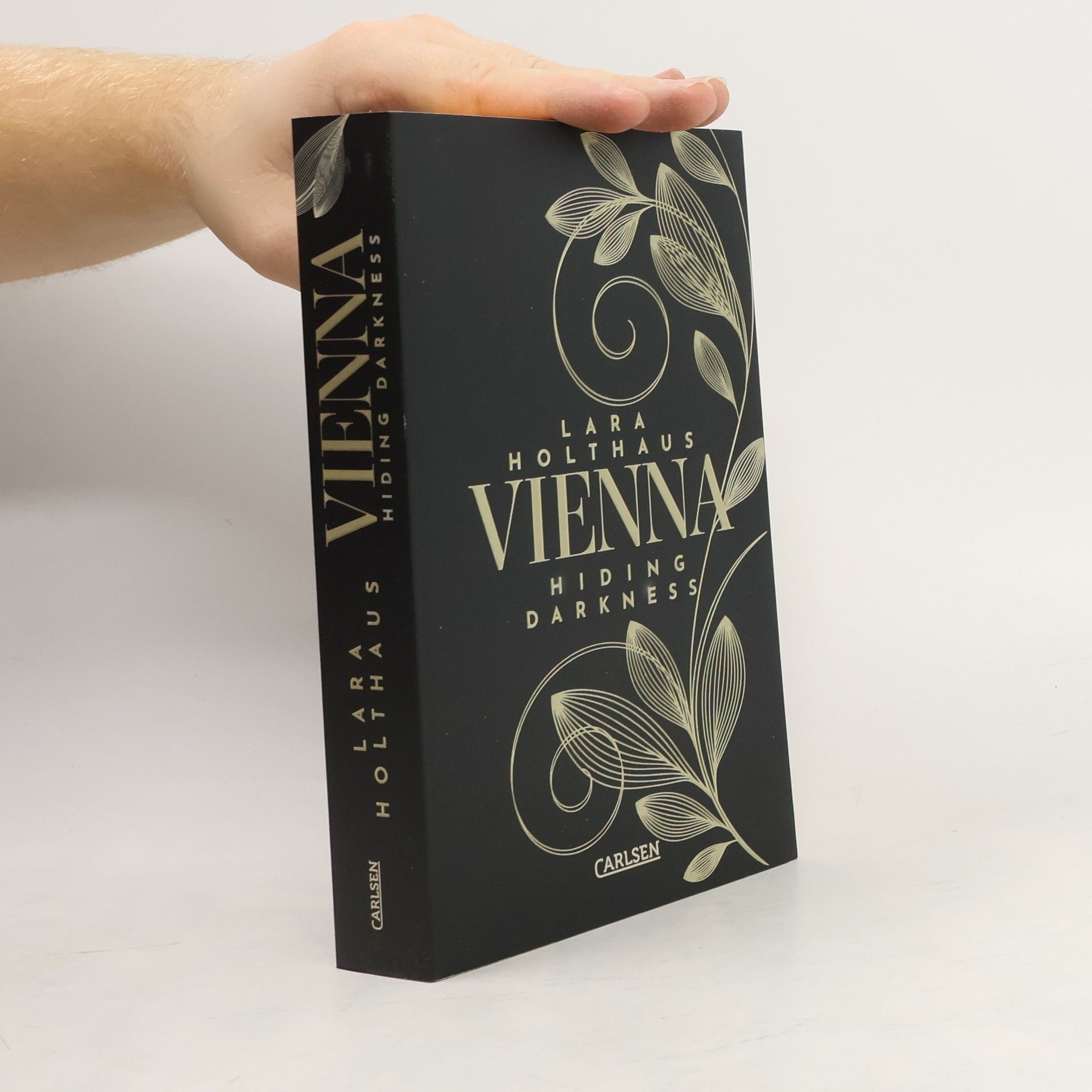 Hiding Darkness / Vienna Bd.2