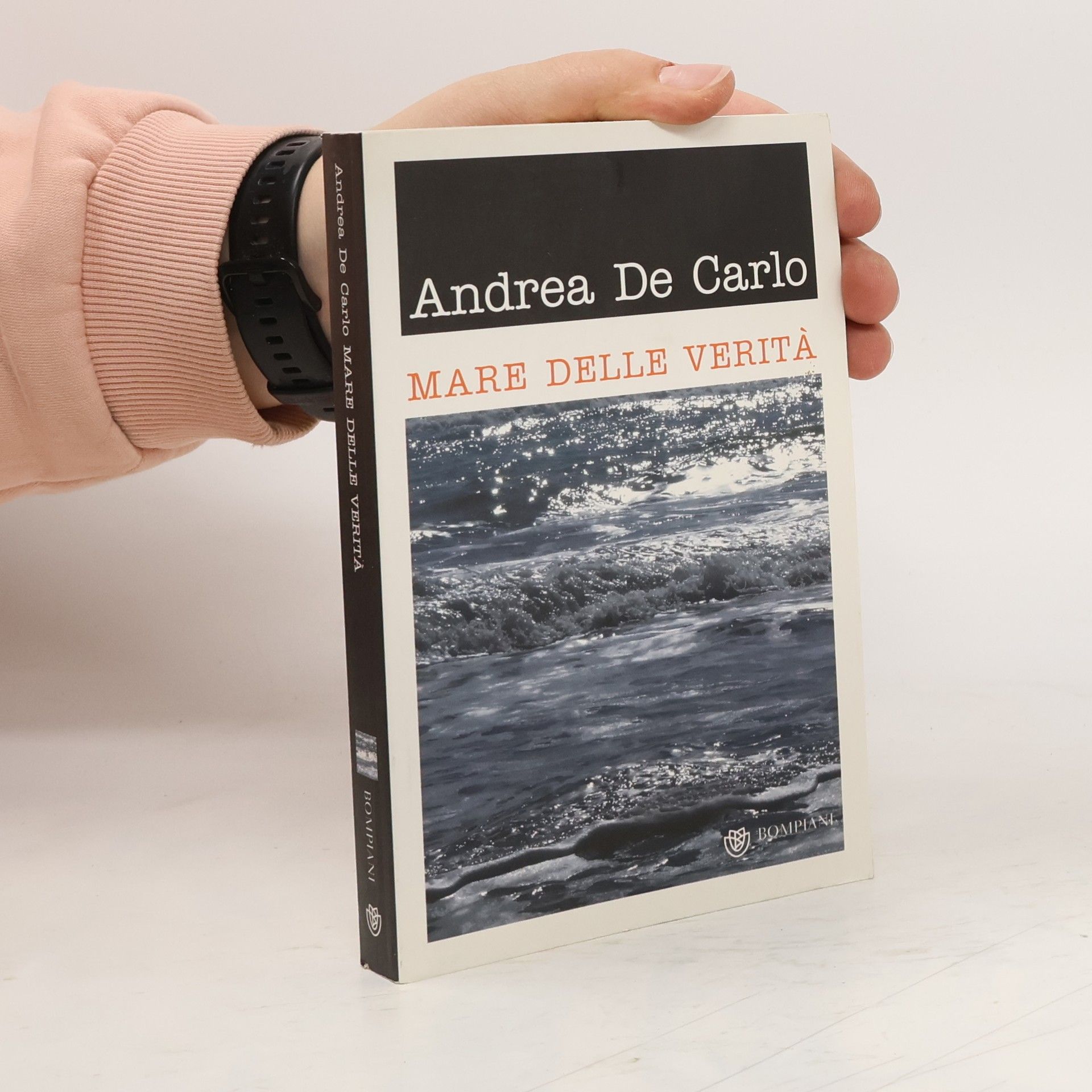 Andrea De Carlo Mare delle verità