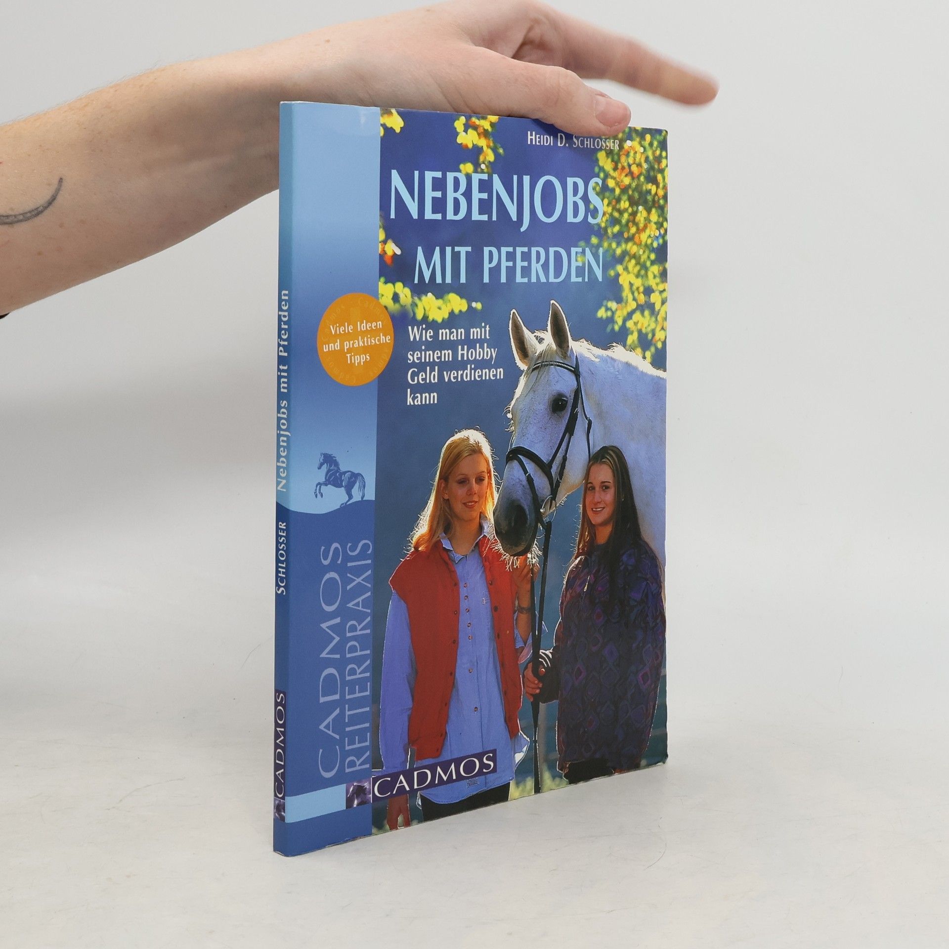 Nebenjobs mit Pferden