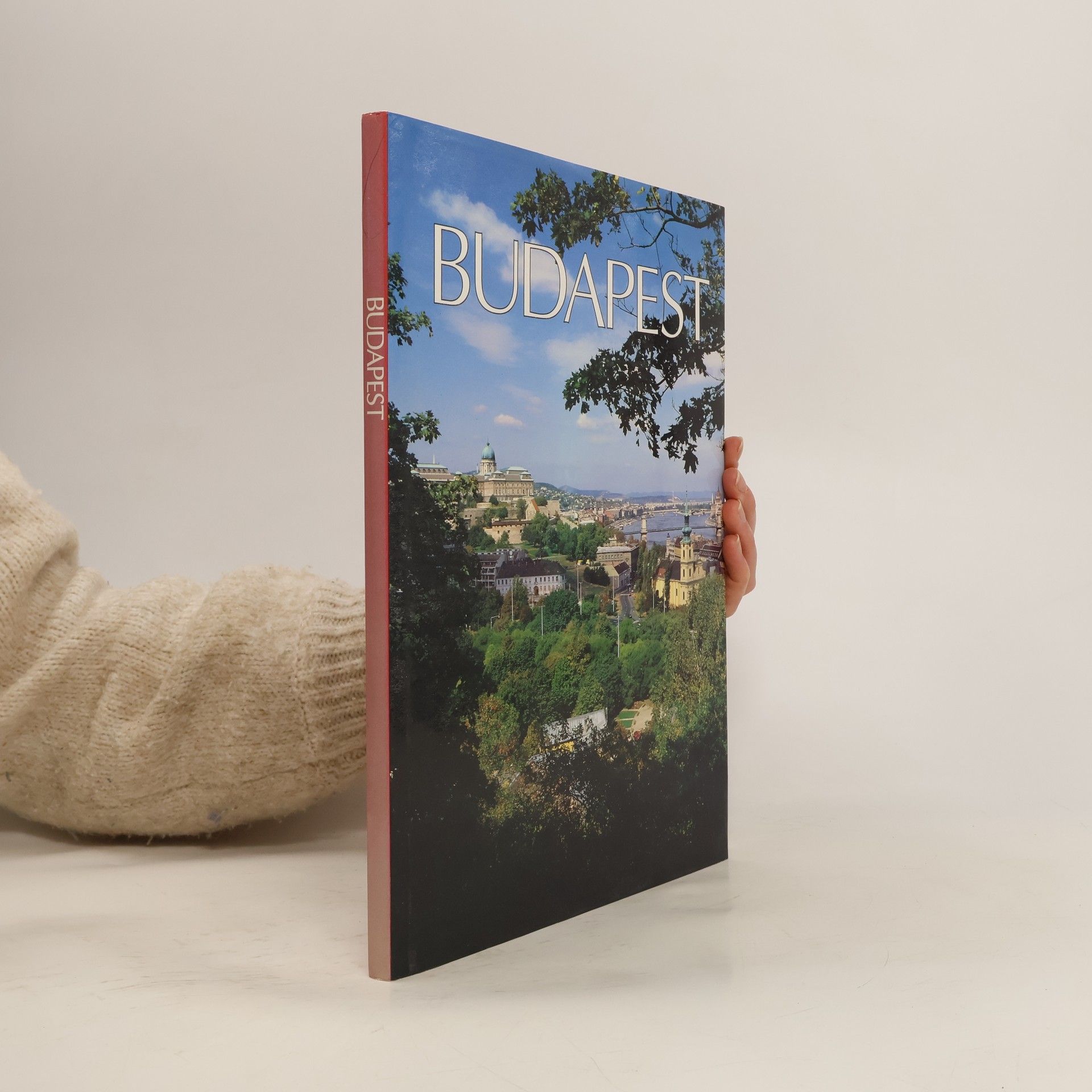 Collectif d'auteurs Budapest