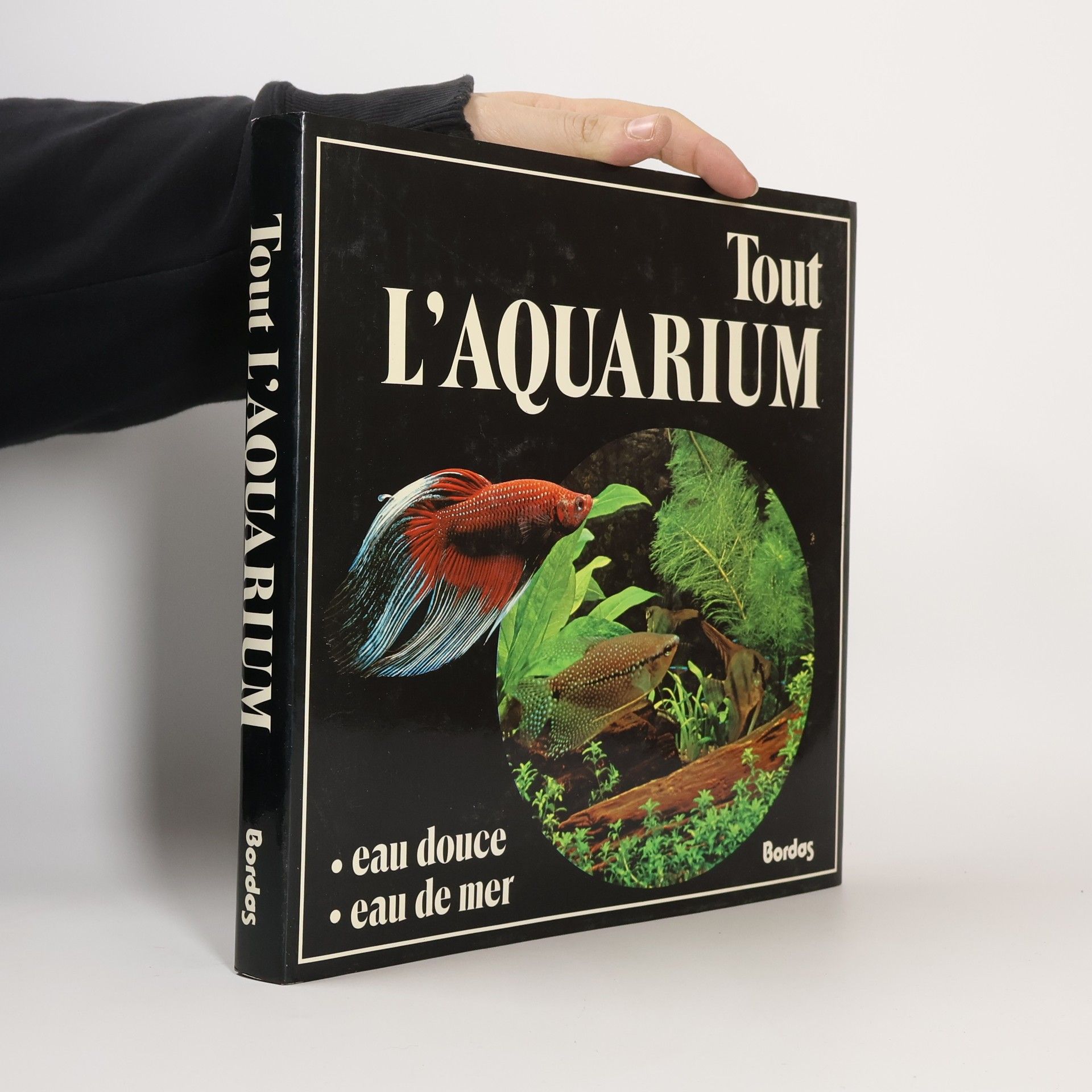 Tout l'aquarium