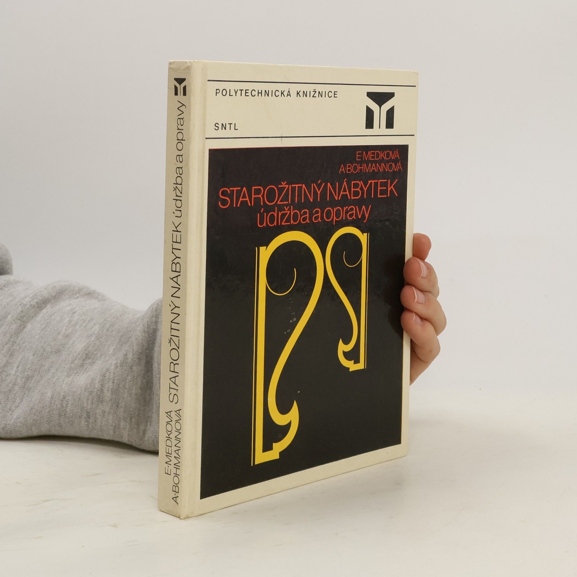 Andrea Bohmannová Starožitný nábytek. Údržba a opravy