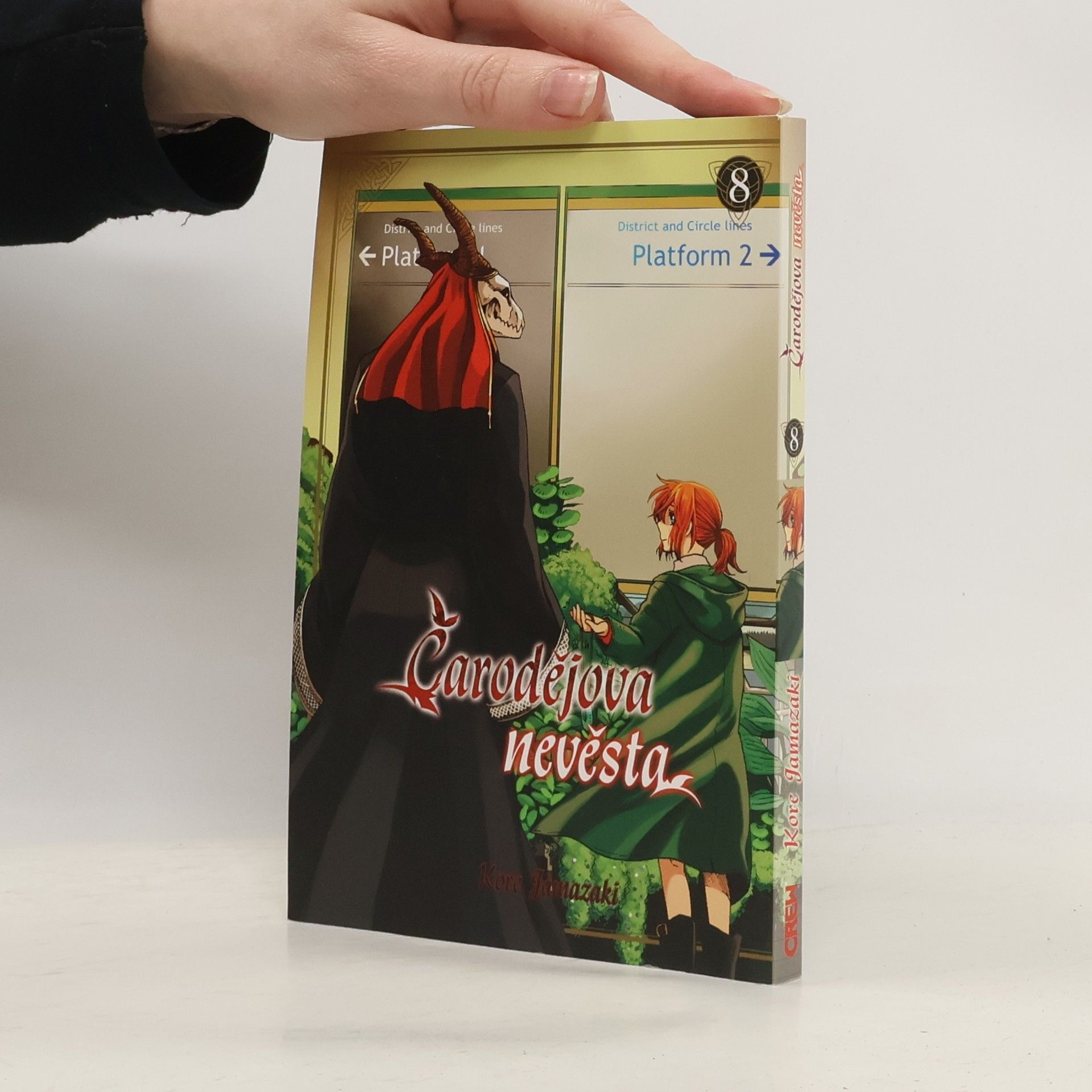 Čarodějova nevěsta 8