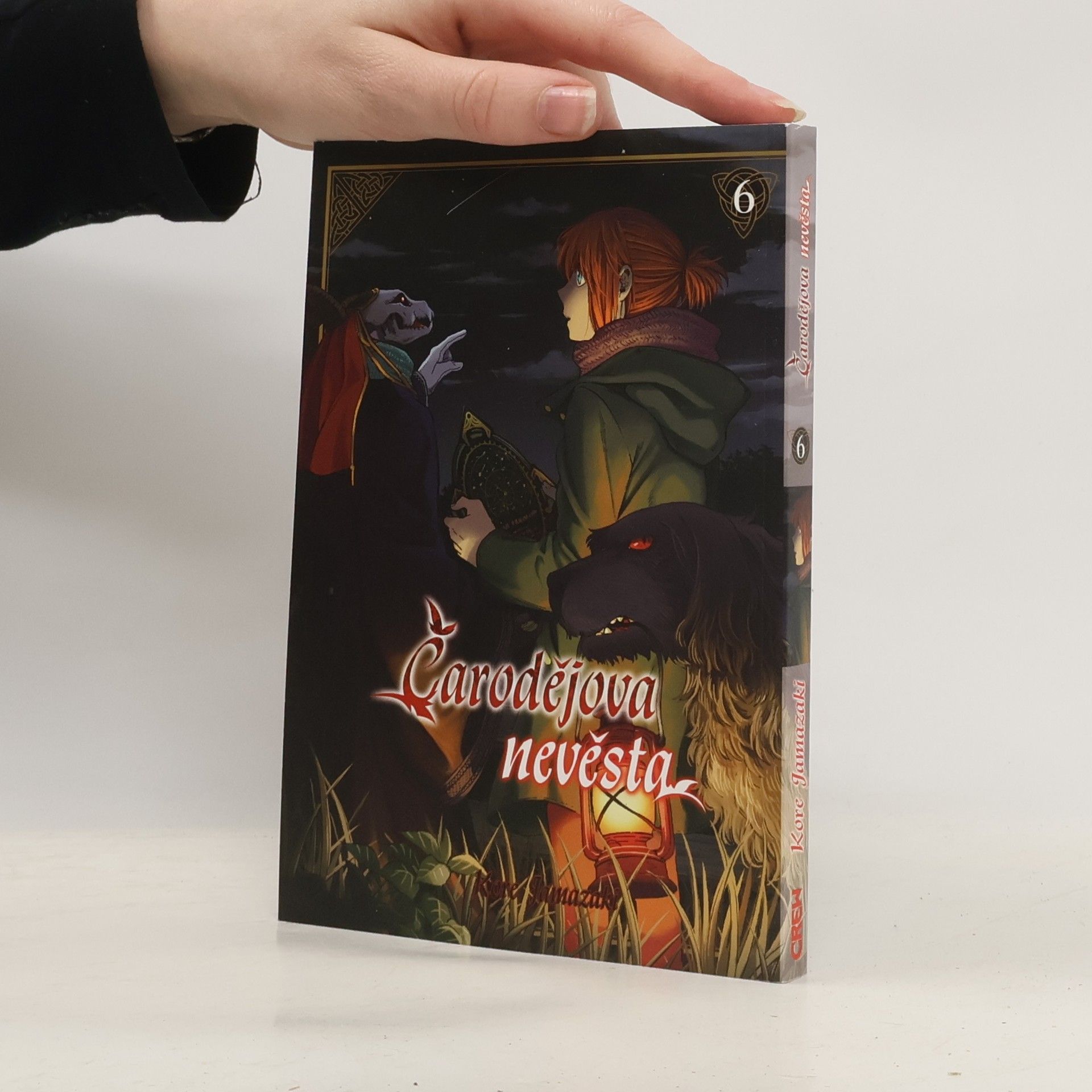 Kore Jamazaki Čarodějova nevěsta 6