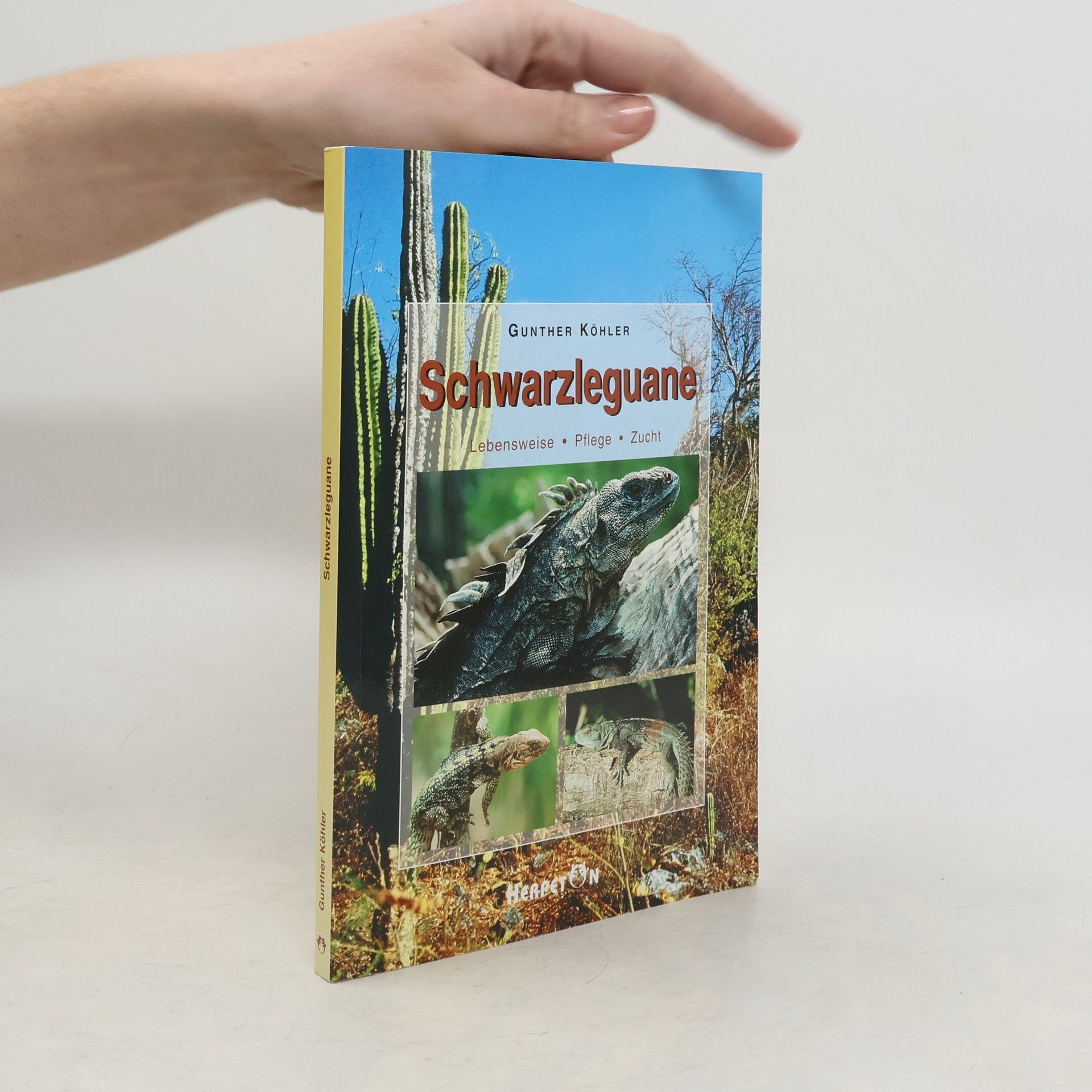 Gunther Köhler Schwarzleguane