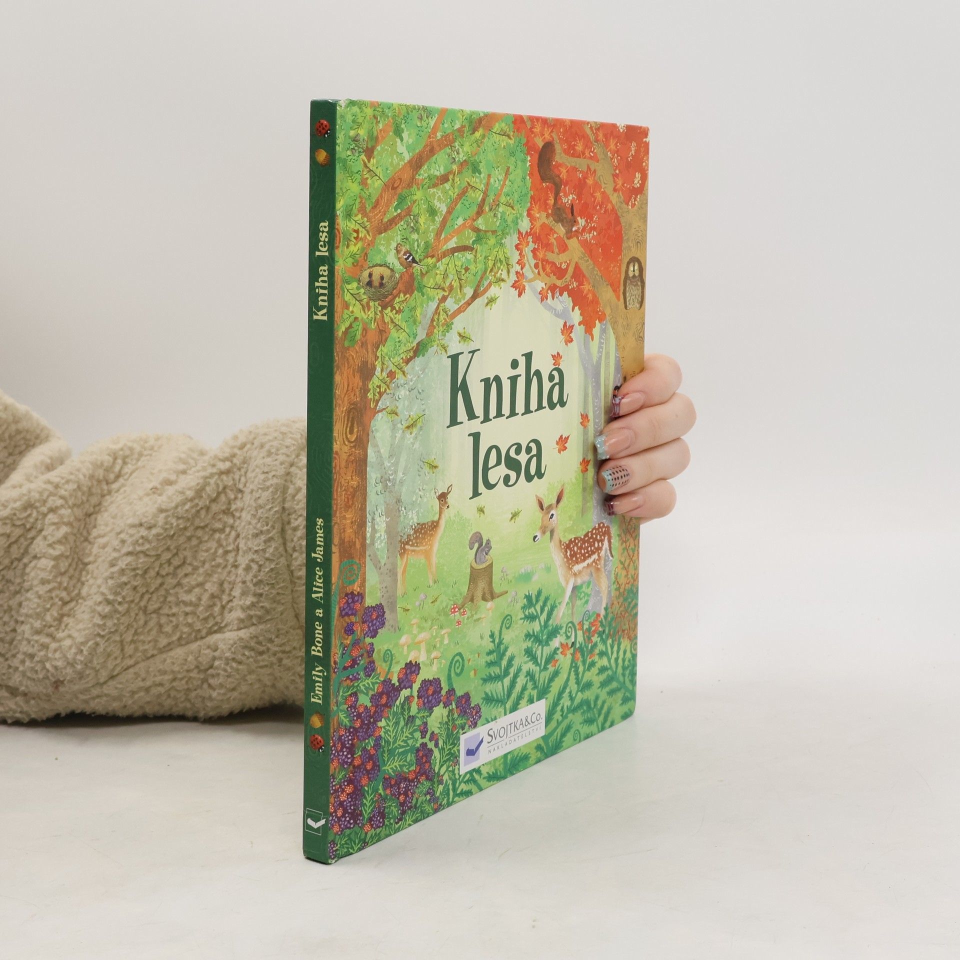 Kolektiv autorů Kniha lesa