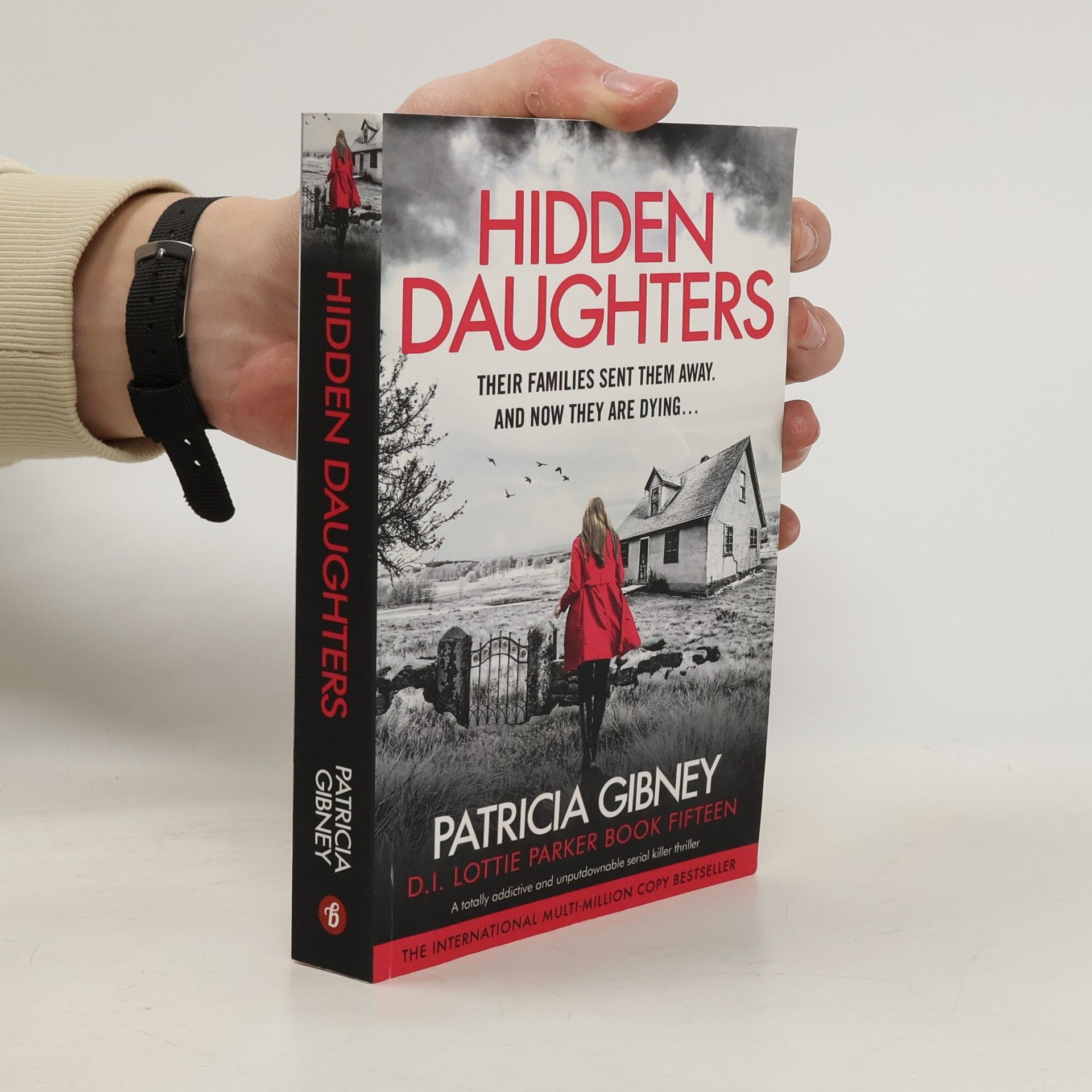 Patricia Gibney D.I. Lottie Parker - 15: Hidden Daughters