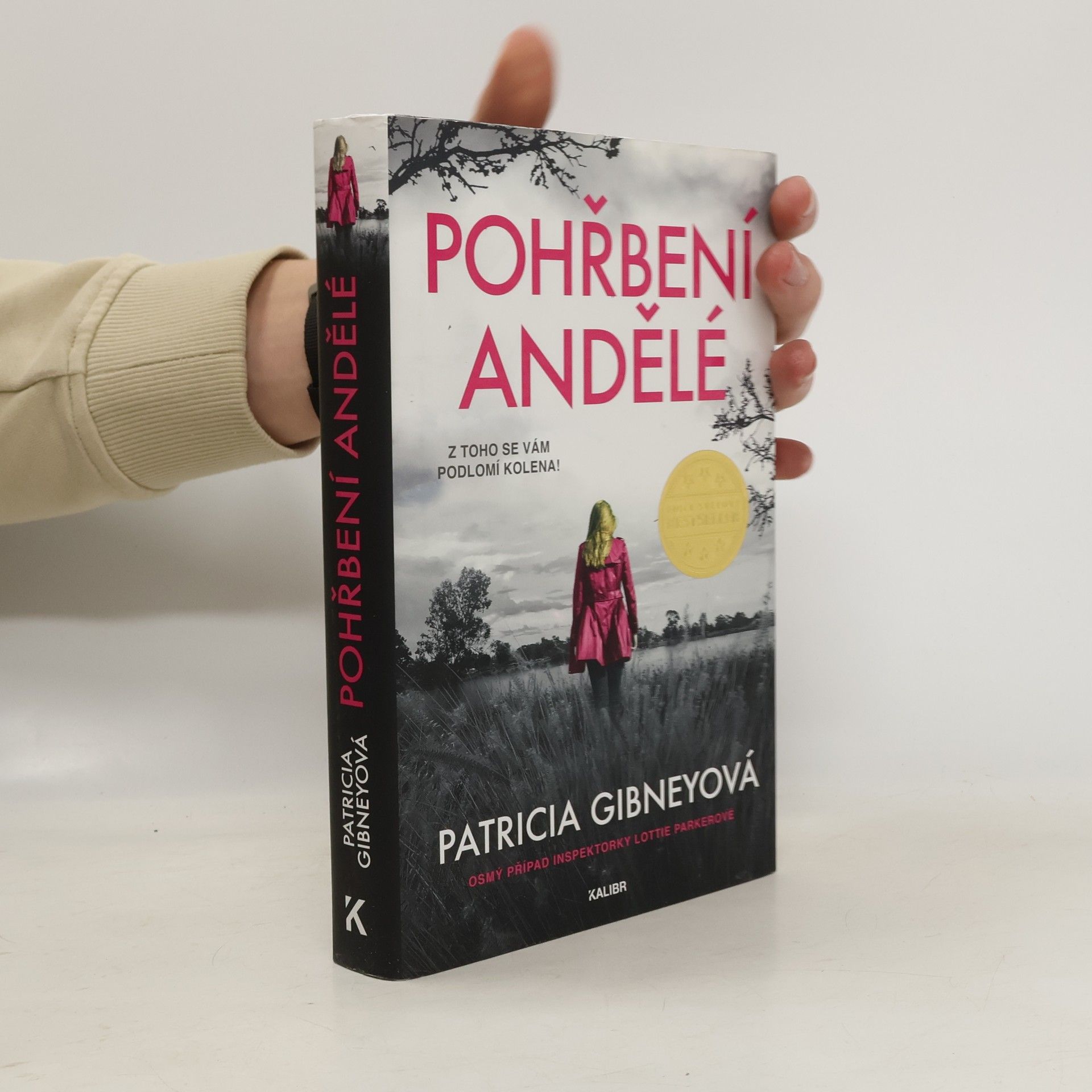 Drahomíra Michnová Pohřbení andělé