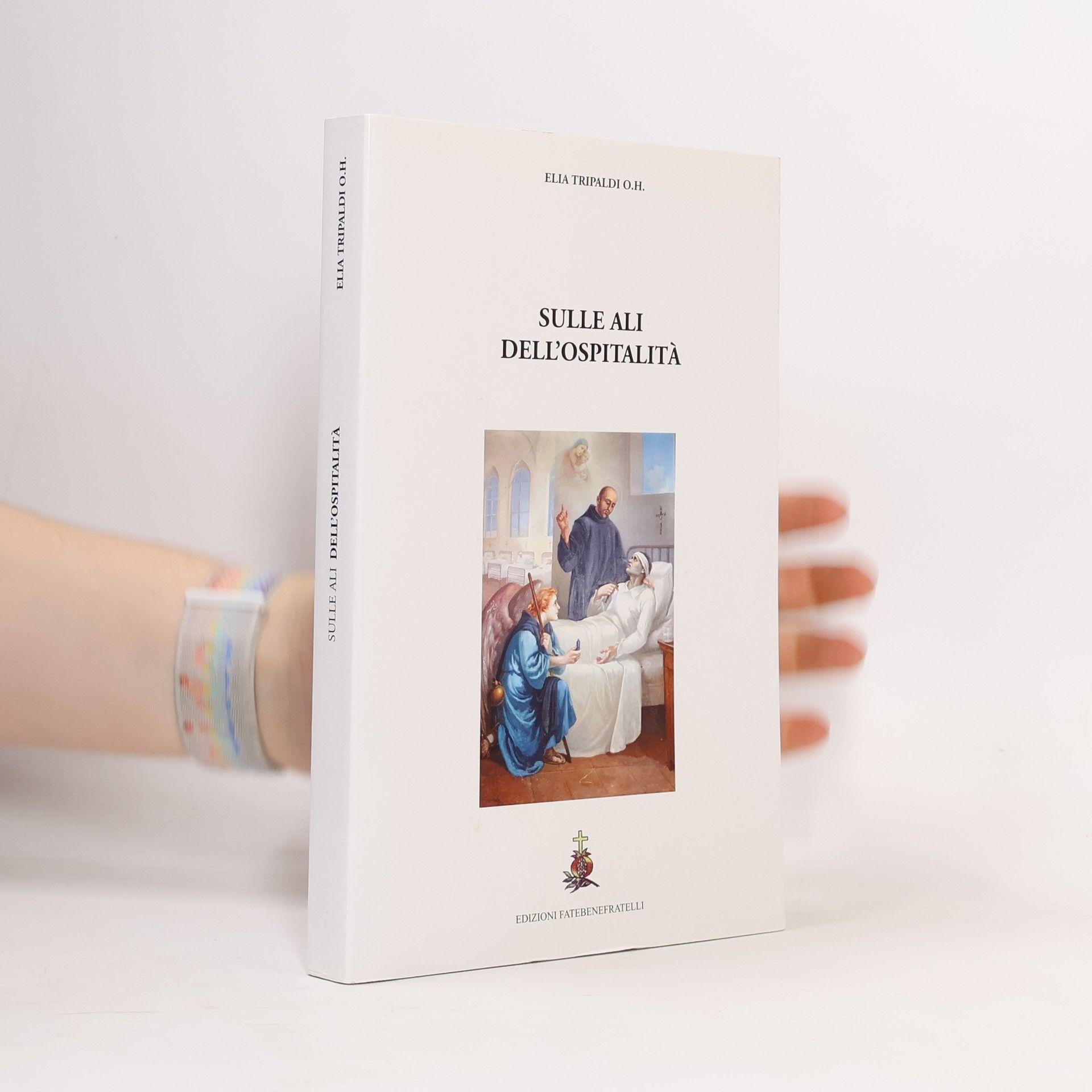 Elia Tripaldi Sulle ali dell'ospitalità