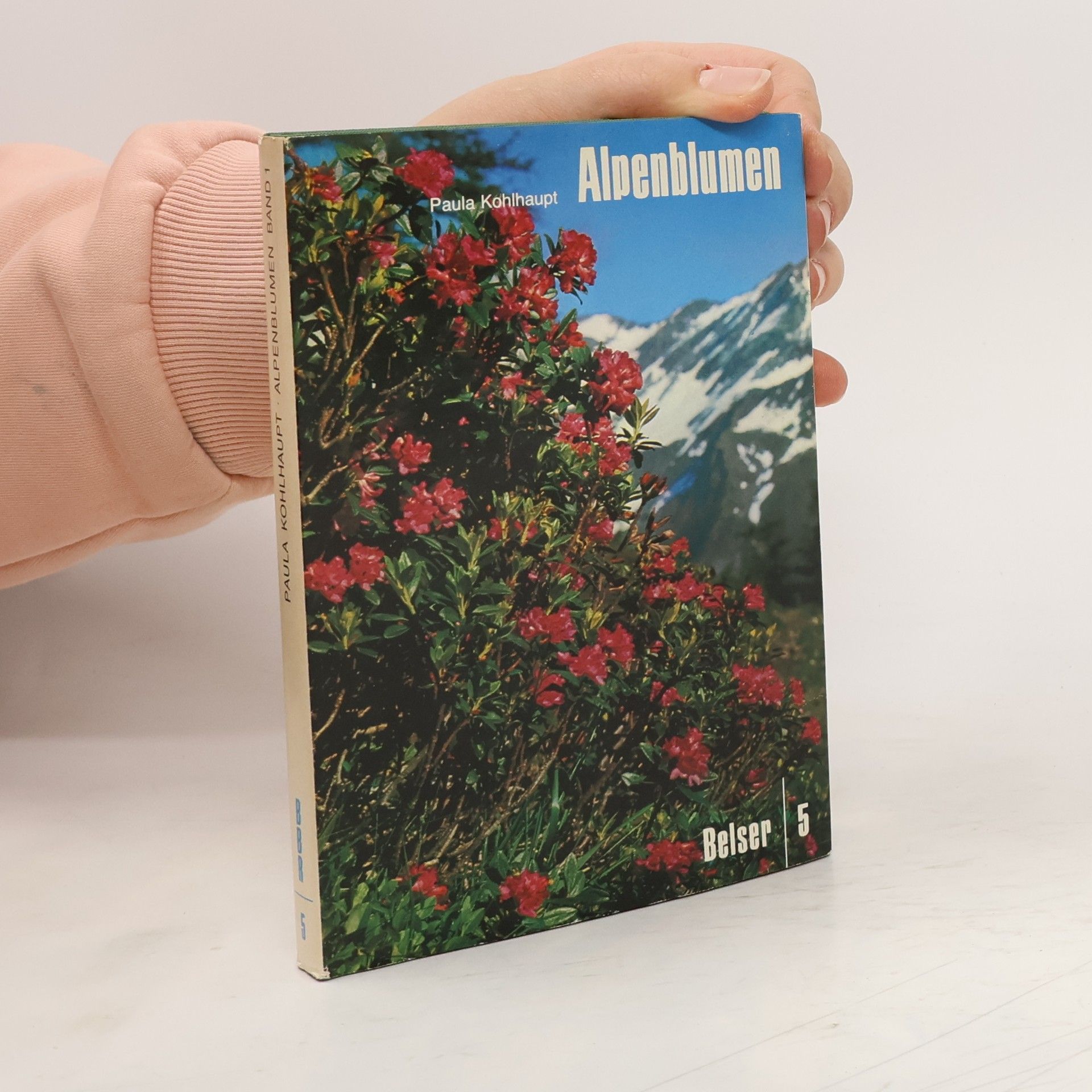 Paula Kohlhaupt Alpenblumen 1