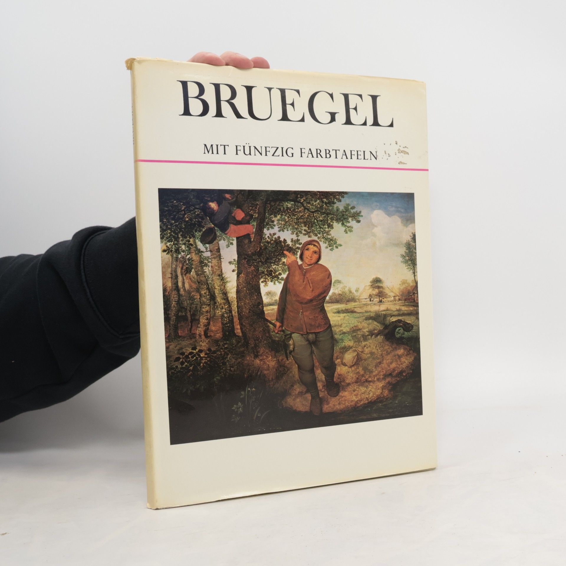 Collectif d'auteurs Bruegel