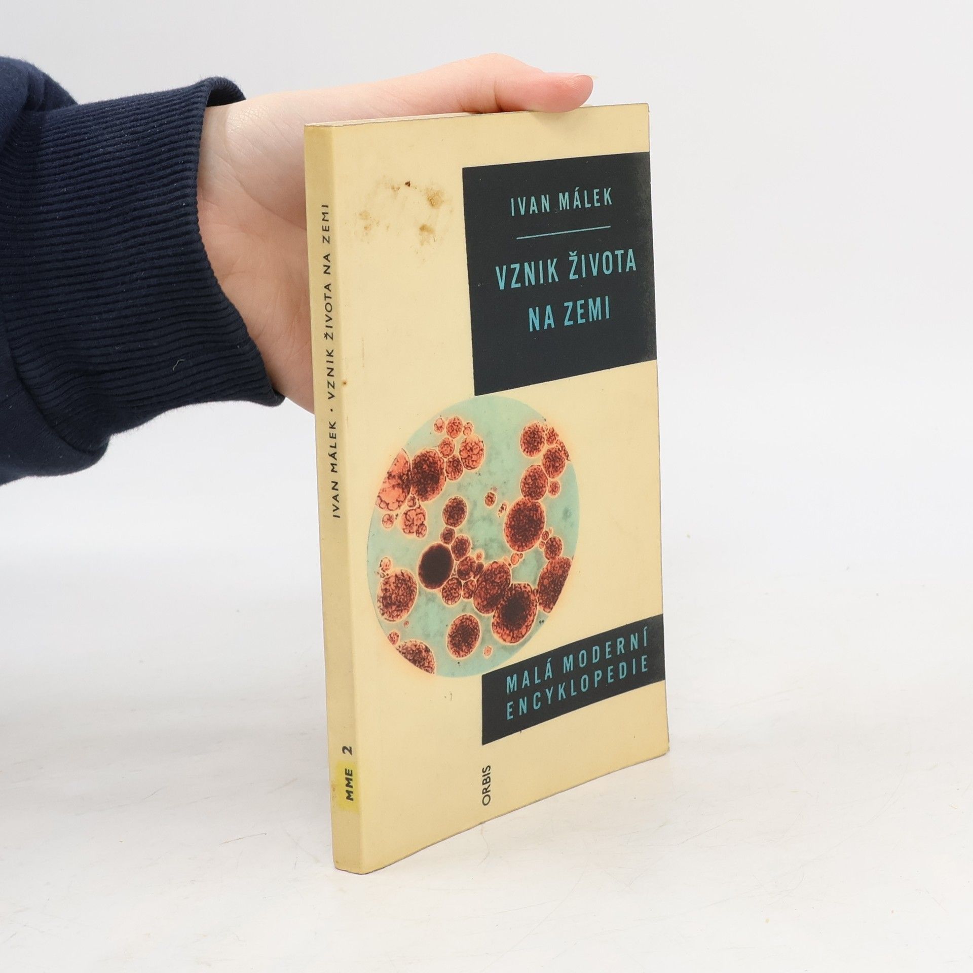 Vznik života na zemi