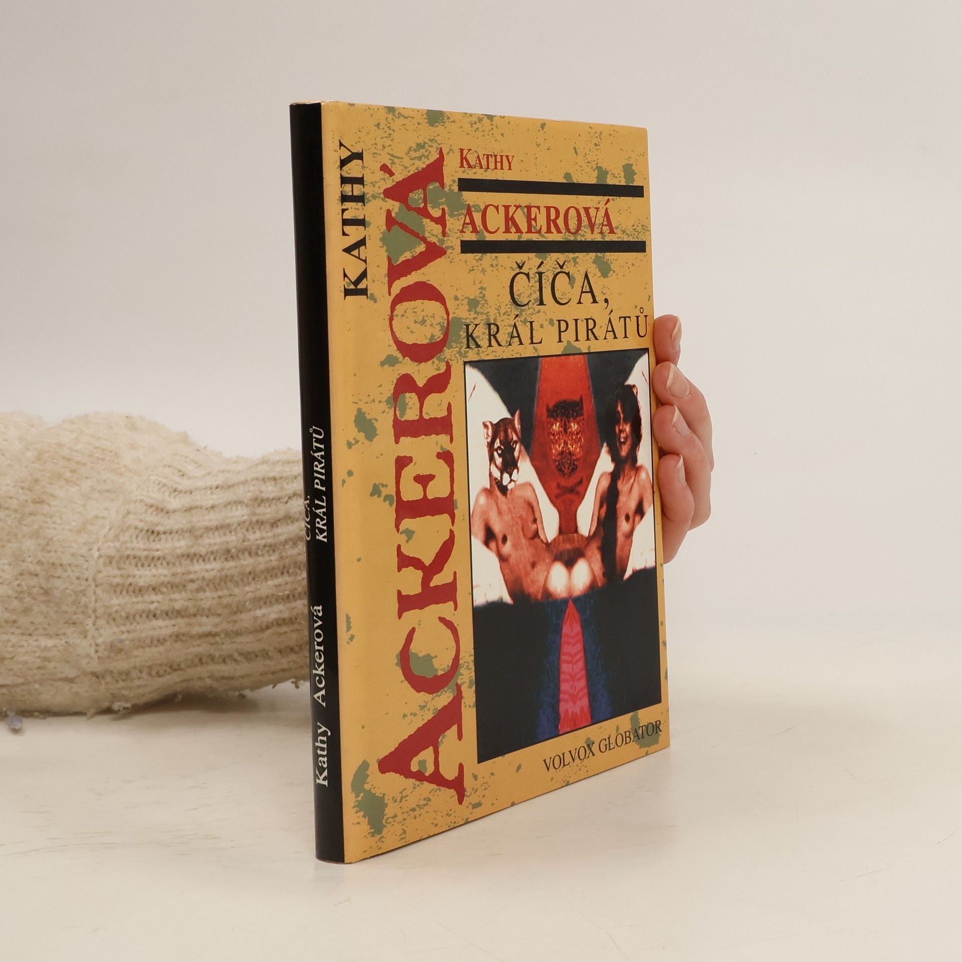 Kathy Acker Číča, král pirátů