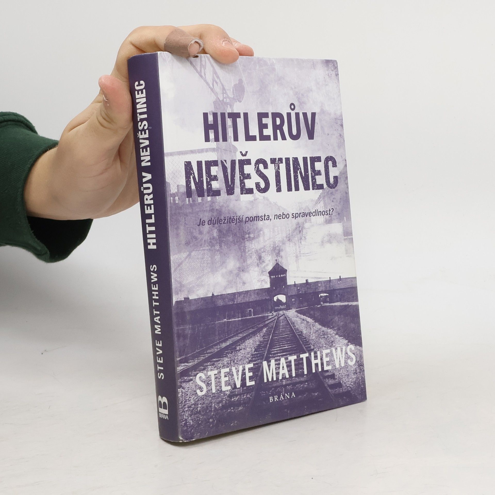 Steve Matthews Hitlerův nevěstinec : je důležitější pomsta, nebo spravedlnost?
