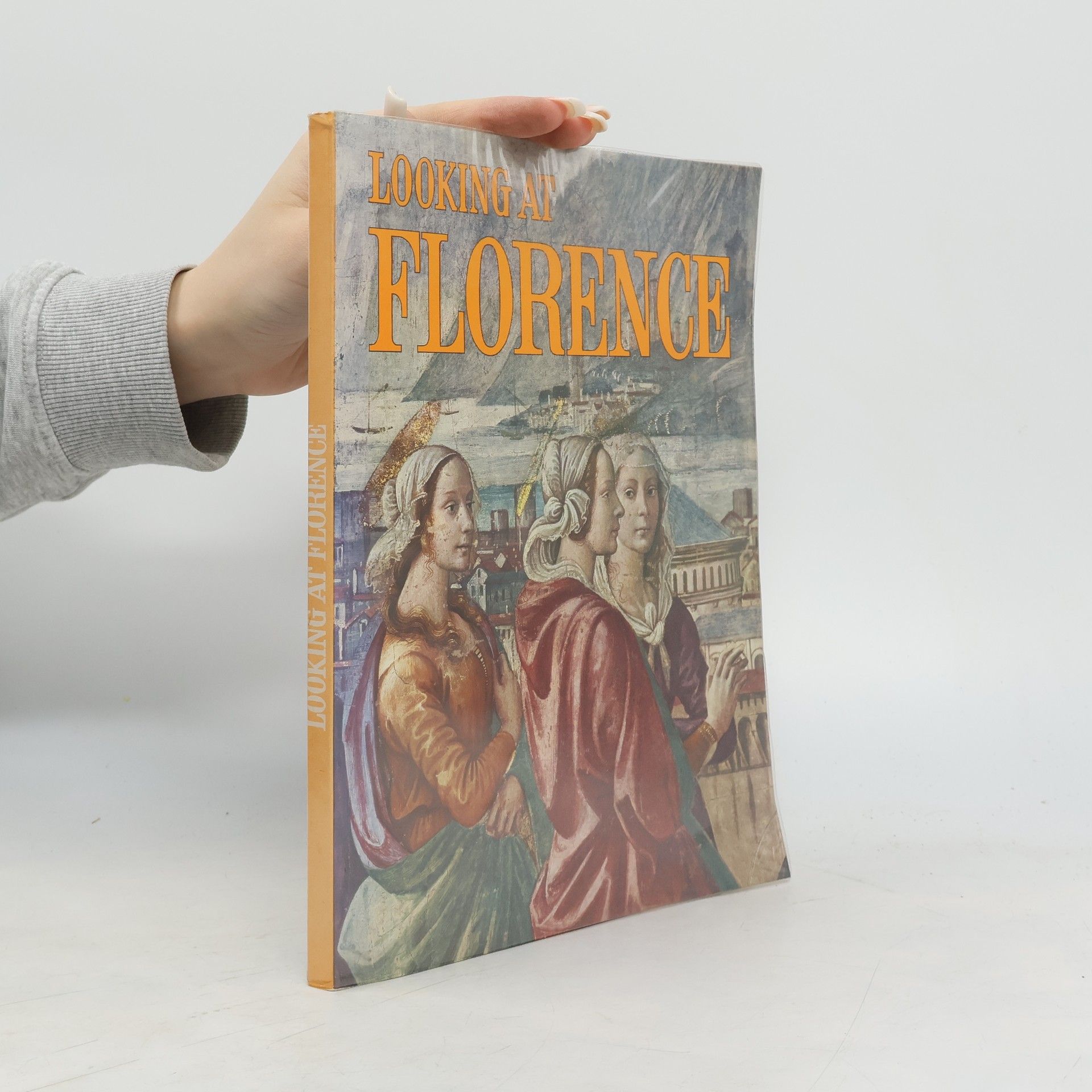 Rolando Fusi Looking at Florence