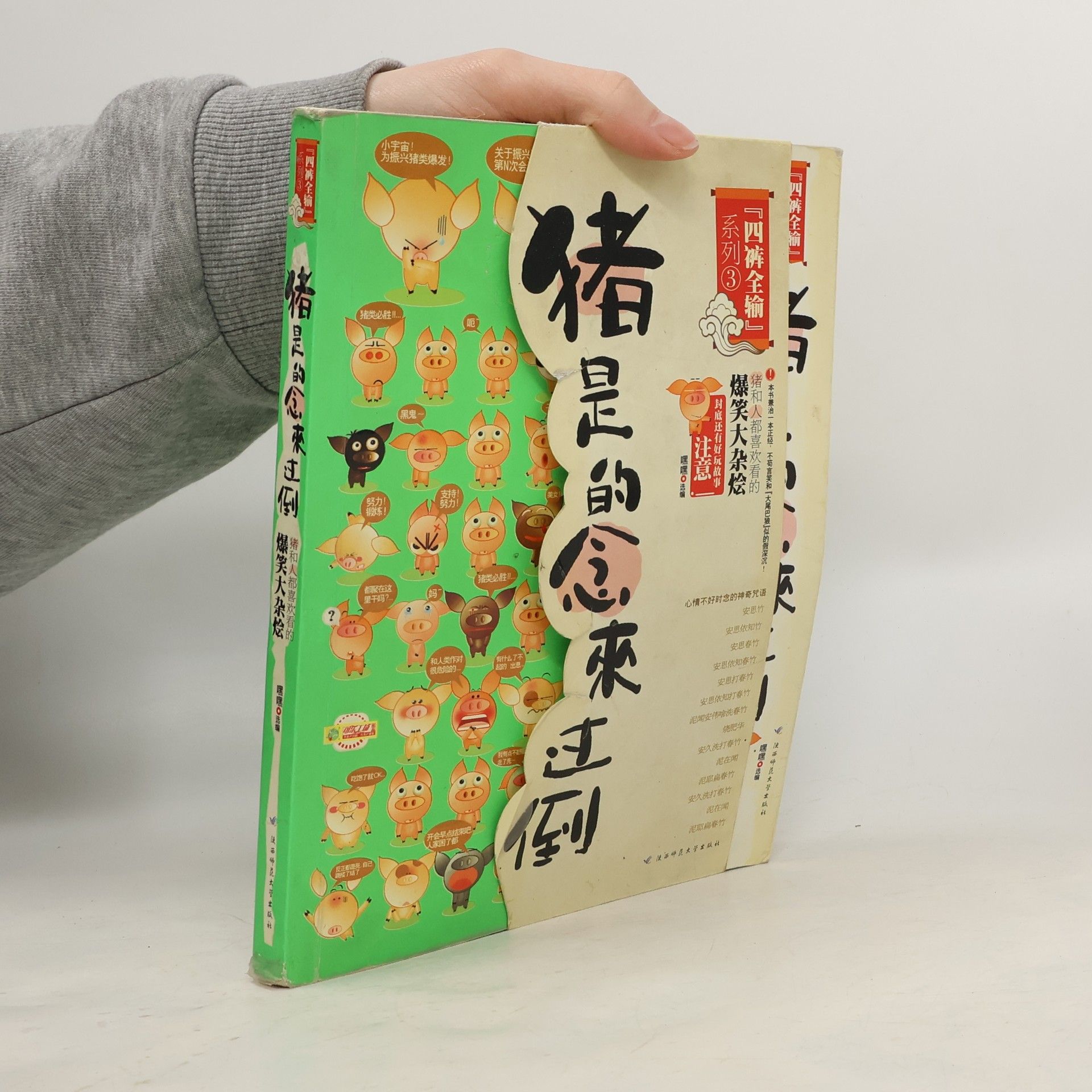 Hei Hei 猪是的念来过倒