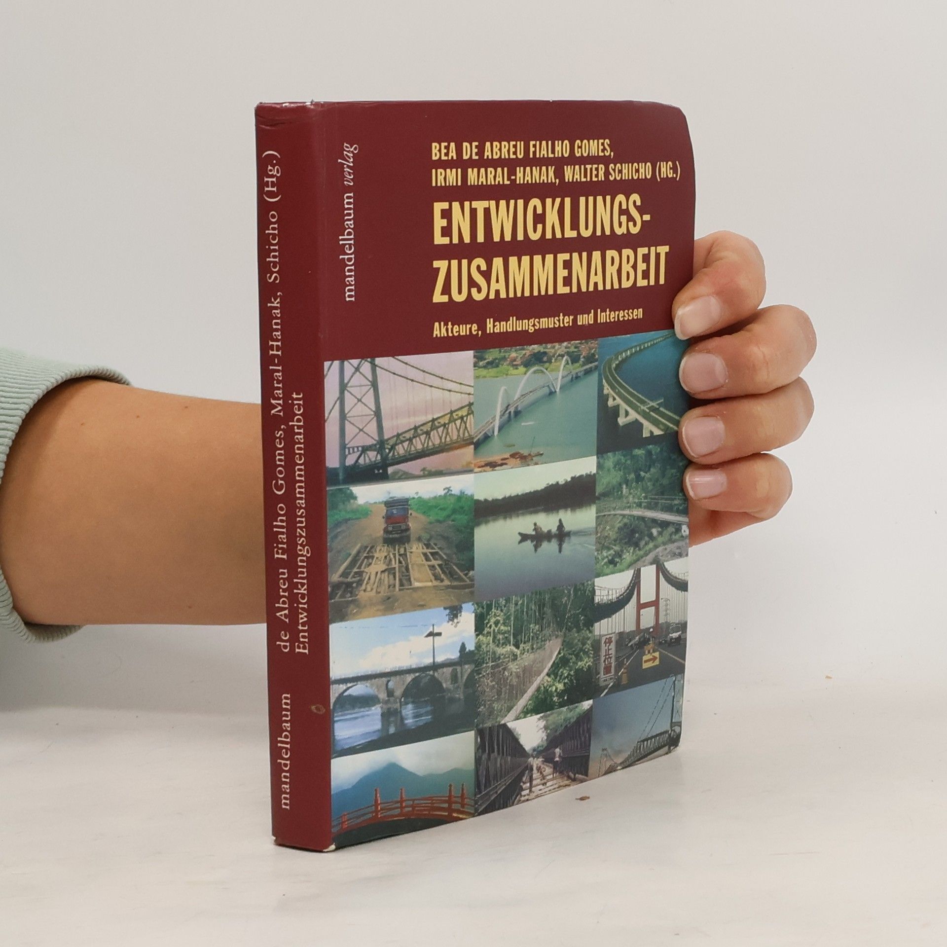 Bea de Abreu Fialho Gomes Entwicklungszusammenarbeit