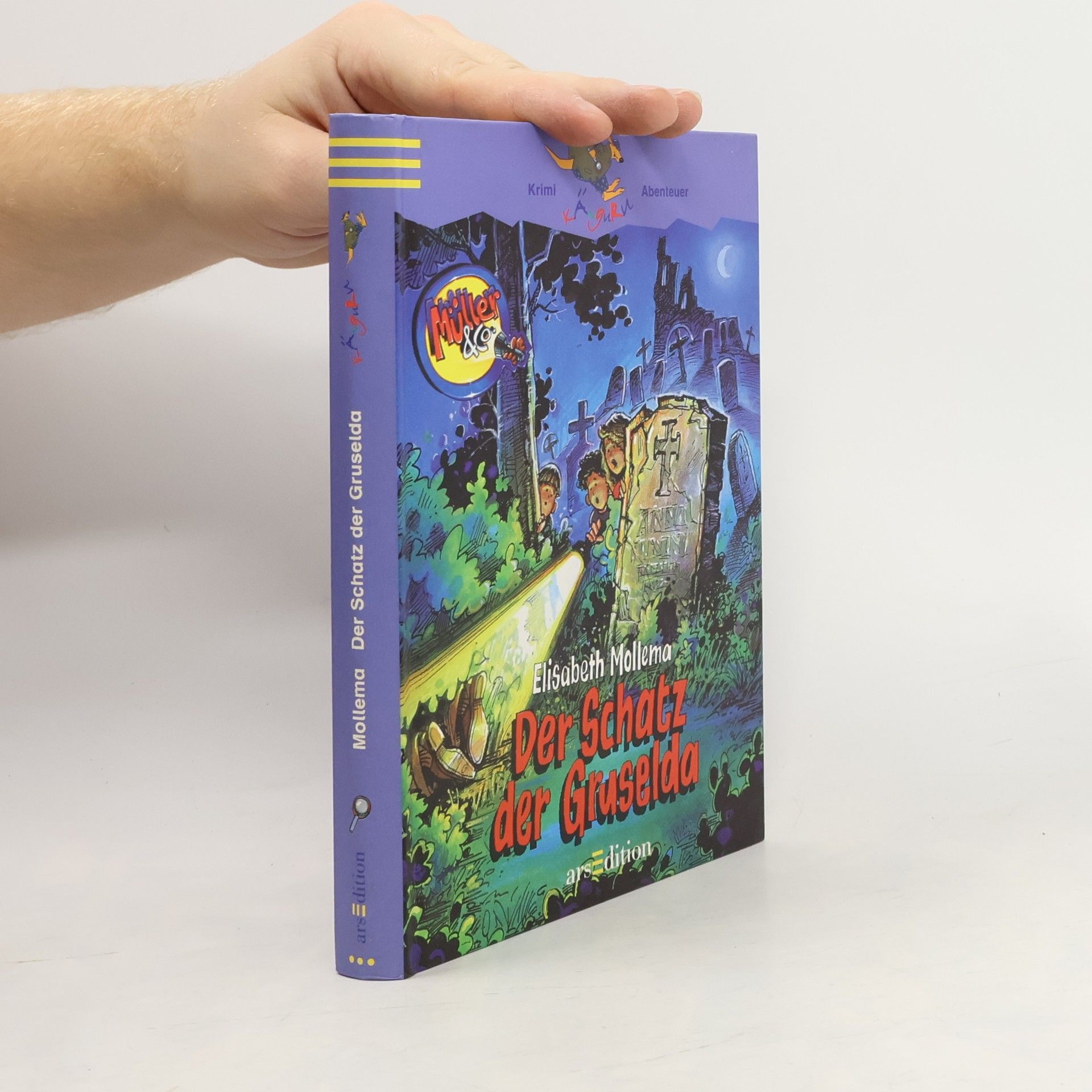 Elisabeth Mollema Der Schatz der Gruselda