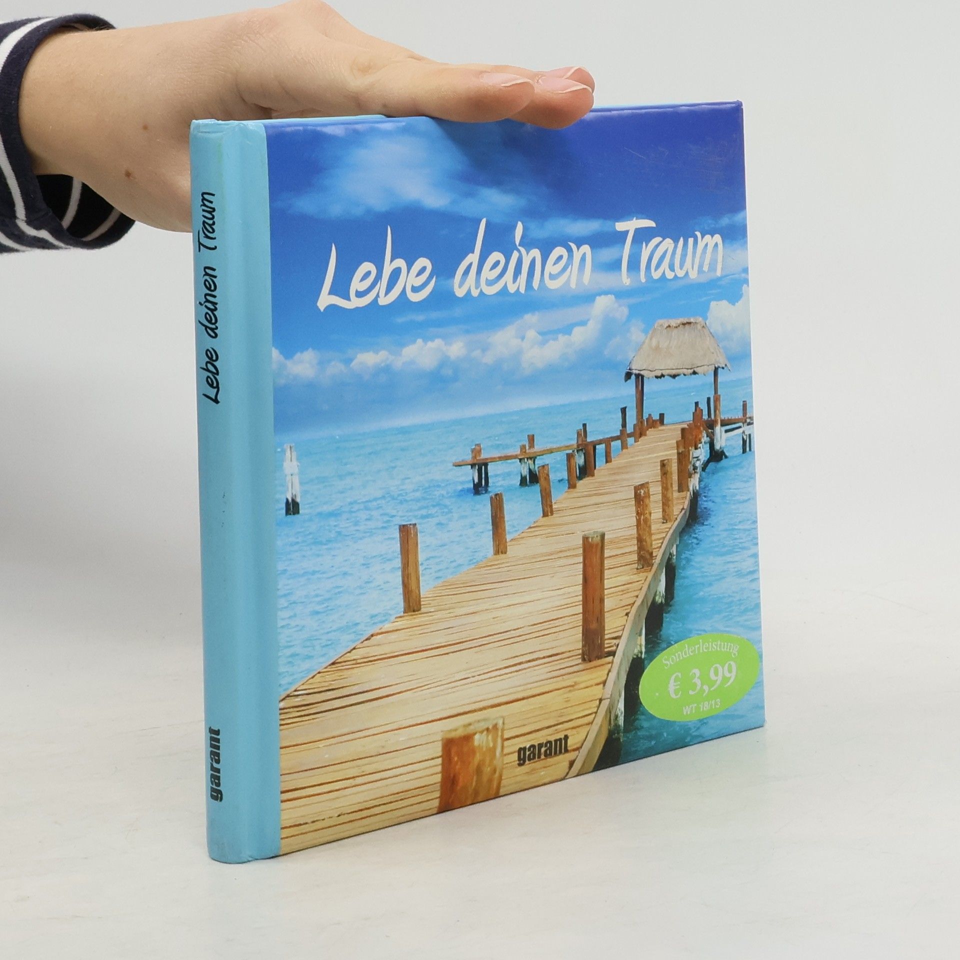 Collectif d'auteurs Lebe deinen Traum