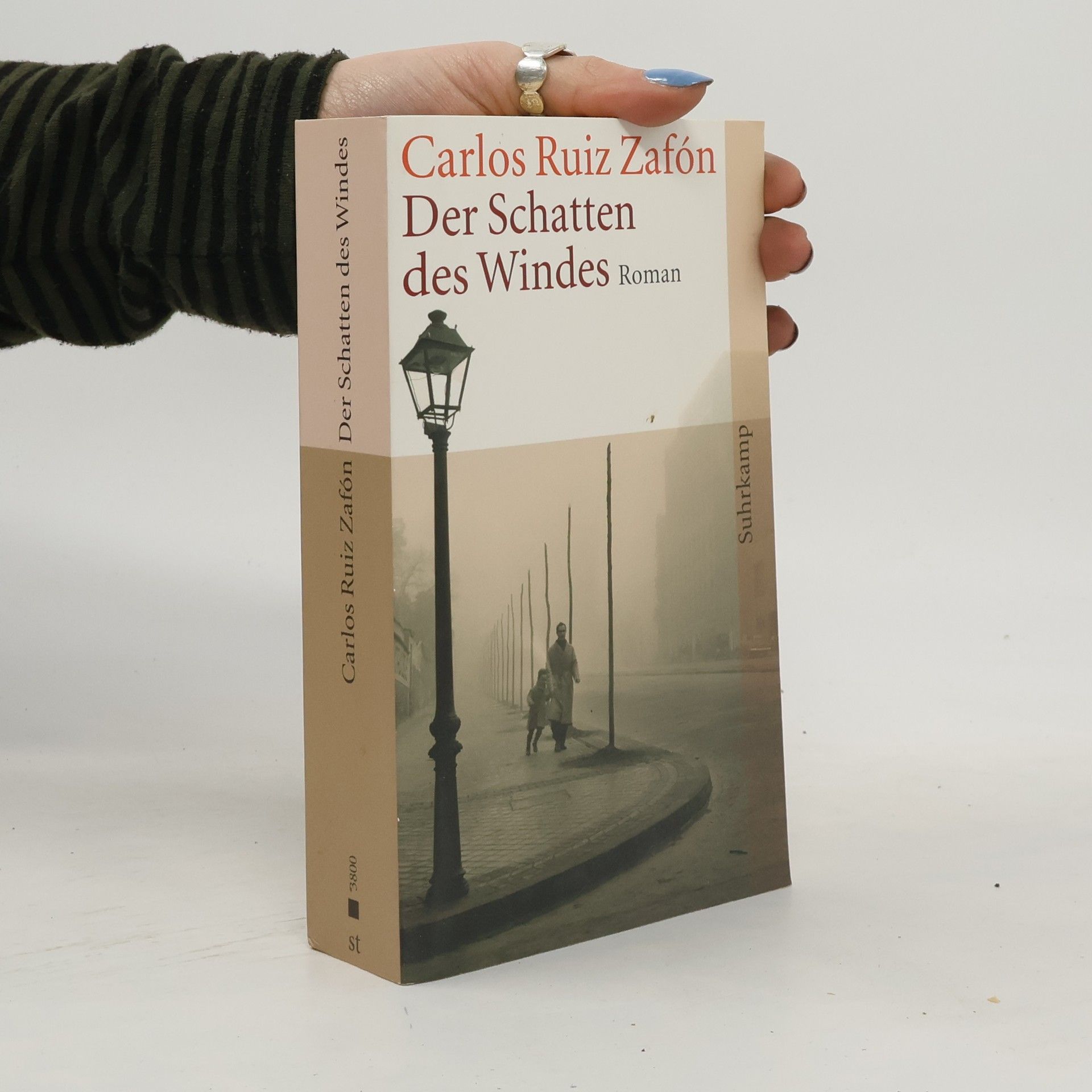 Carlos Ruiz Zafón Der Schatten des Windes