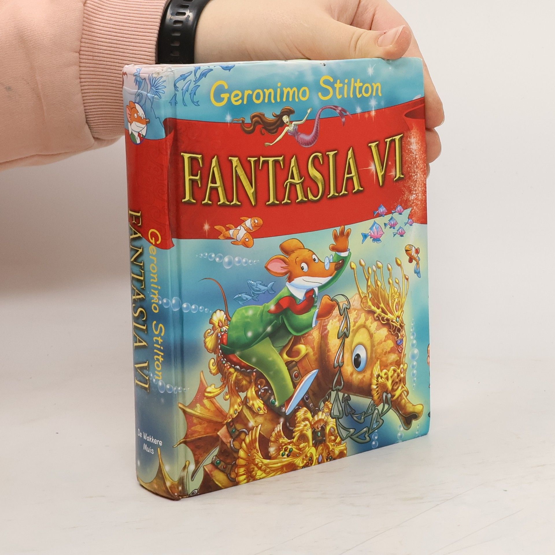 Geronimo Stilton Fantasia VI