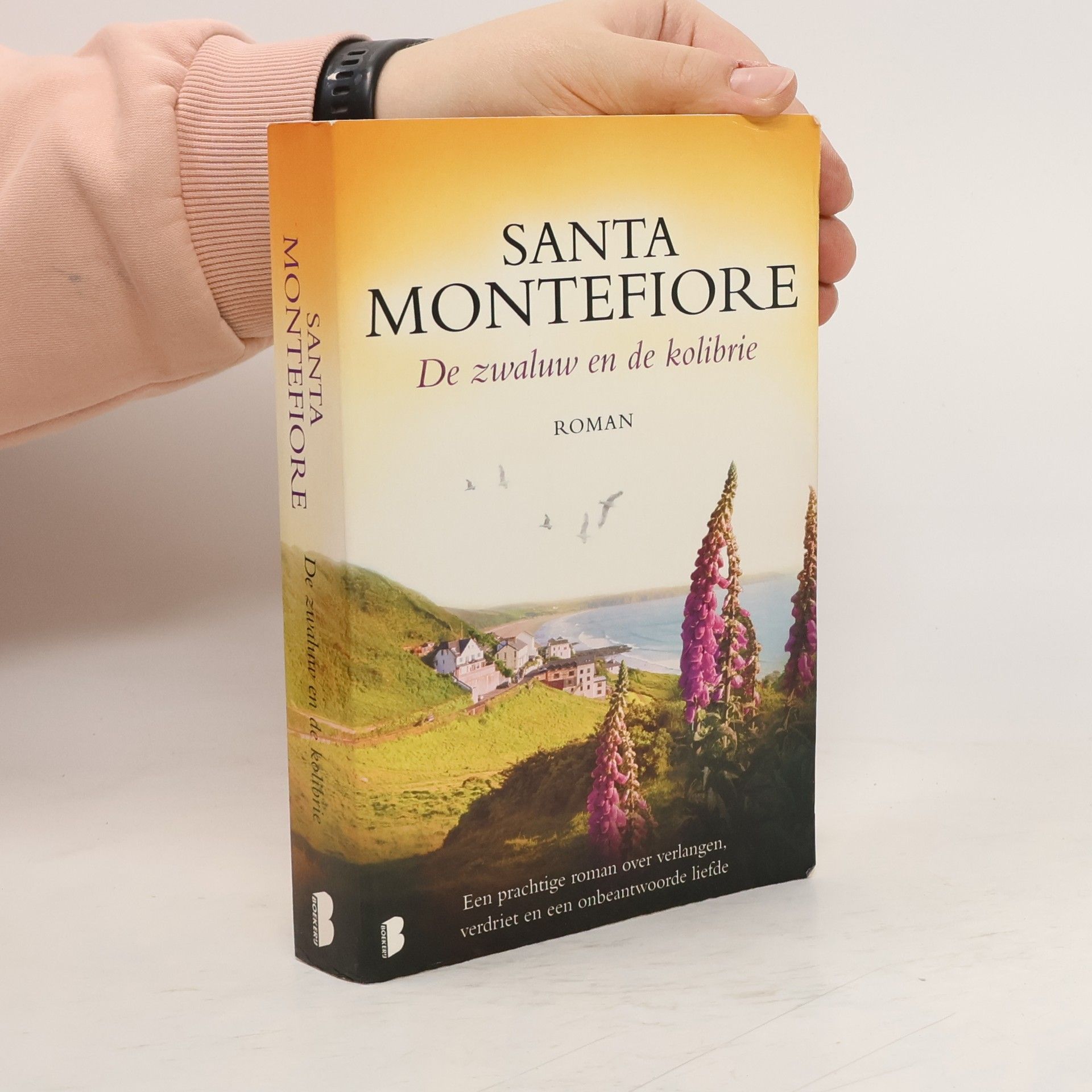 Santa Montefiore De zwaluw en de kolibrie - druk 6
