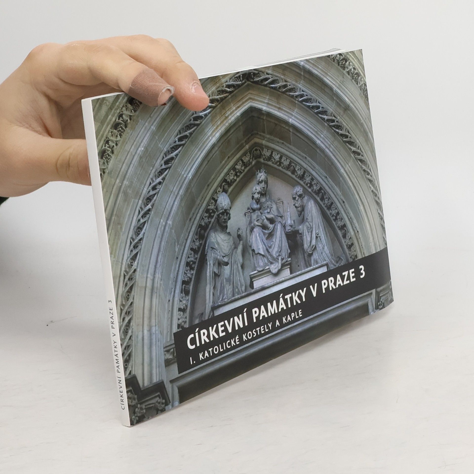 Jan Vlk Církevní památky v Praze 3. , I. Katolické kostely a kaple