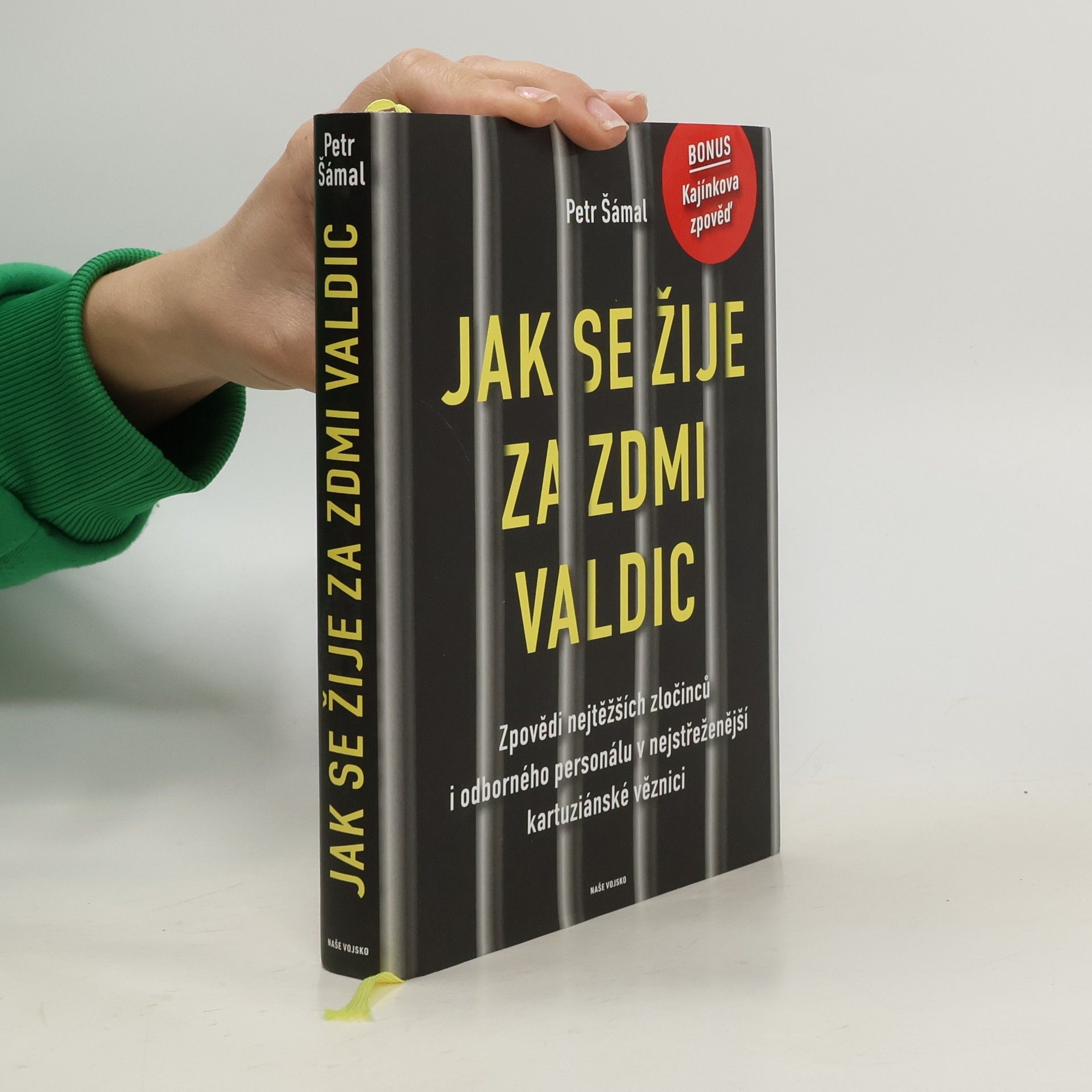Petr Šámal Jak se žije za zdmi Valdic: Zpovědi nejtěžších zločinců i odborného personálu v nejstřeženější kartuziánské věznici