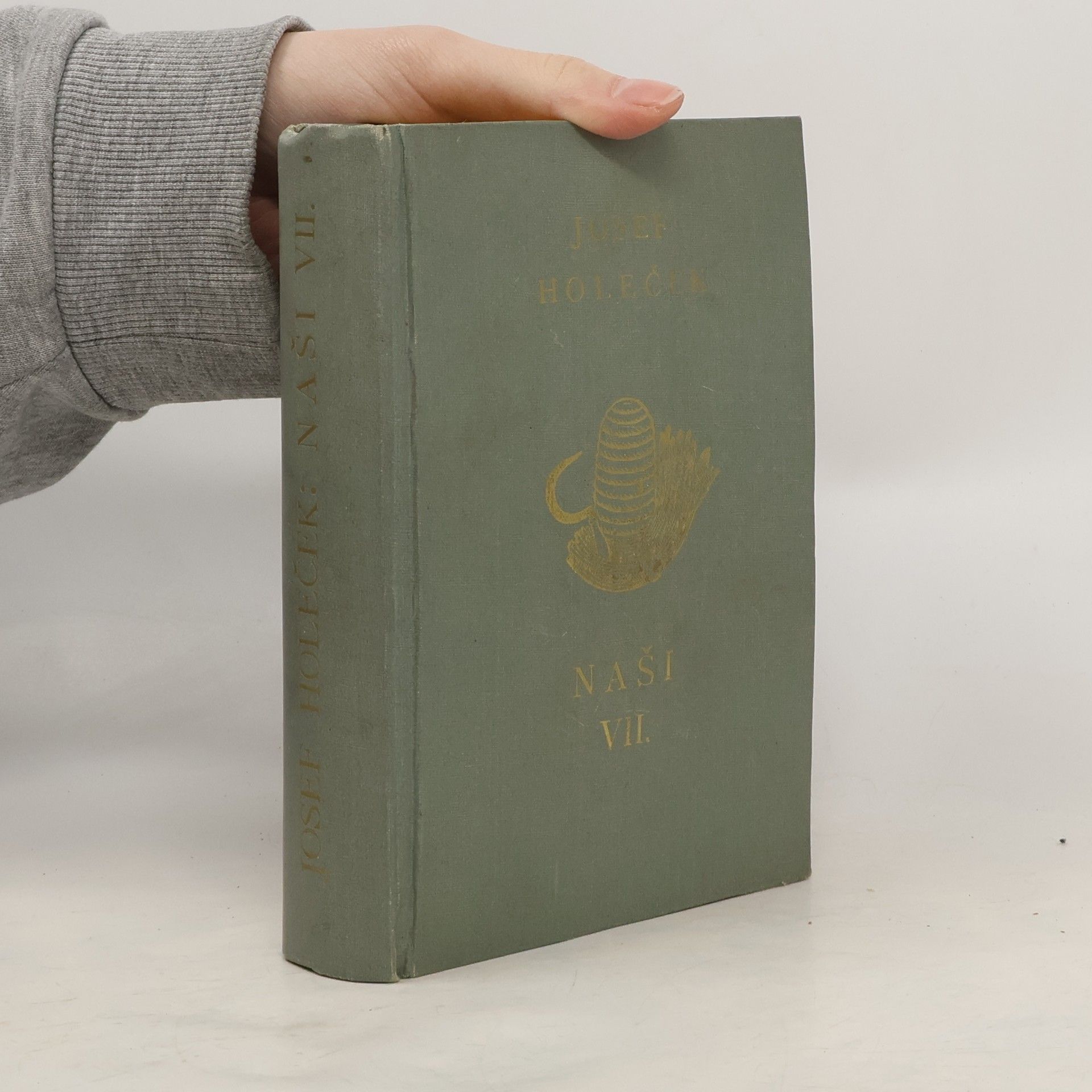 Josef Holeček Naši VII.