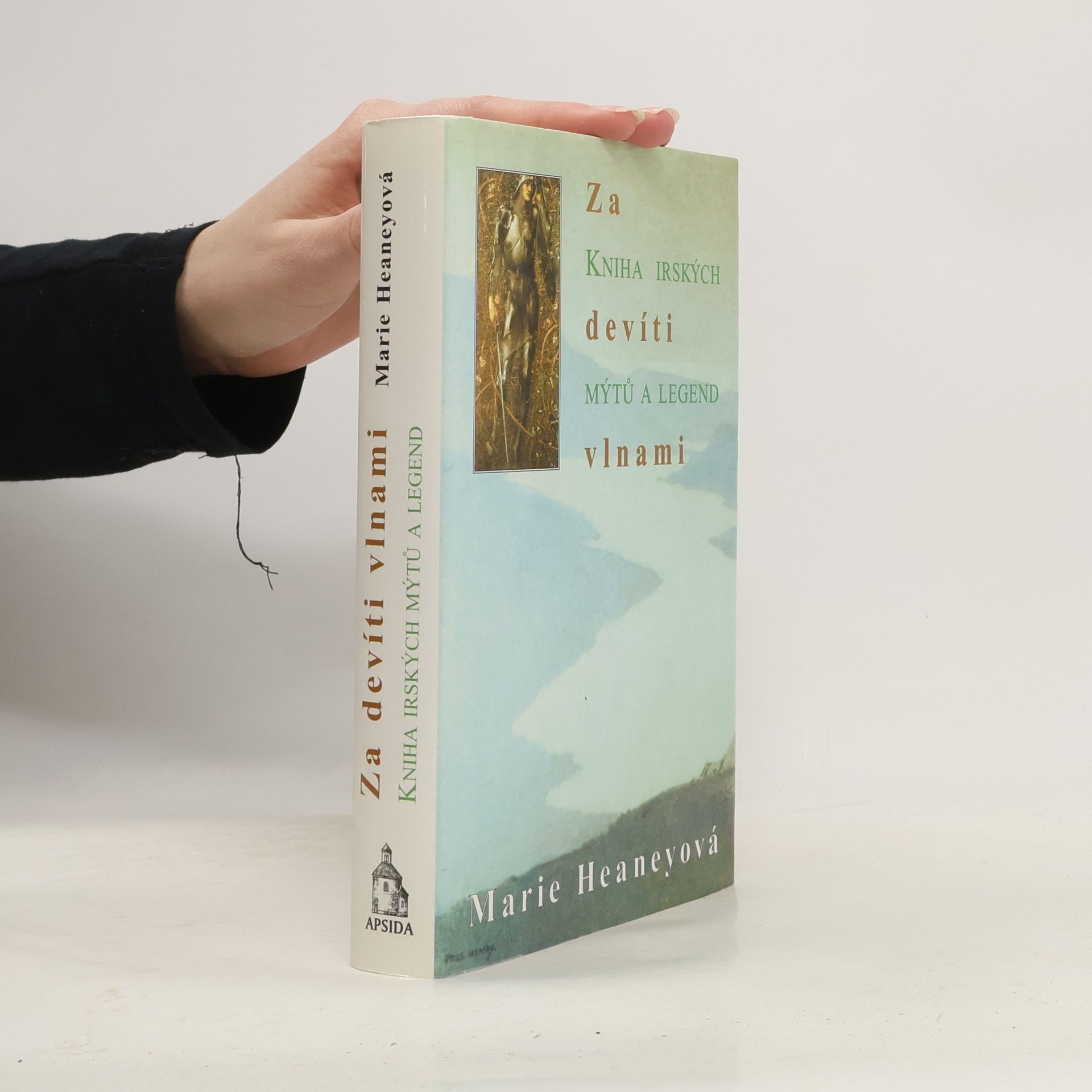 Za devíti vlnami: Kniha irských mýtů a legend