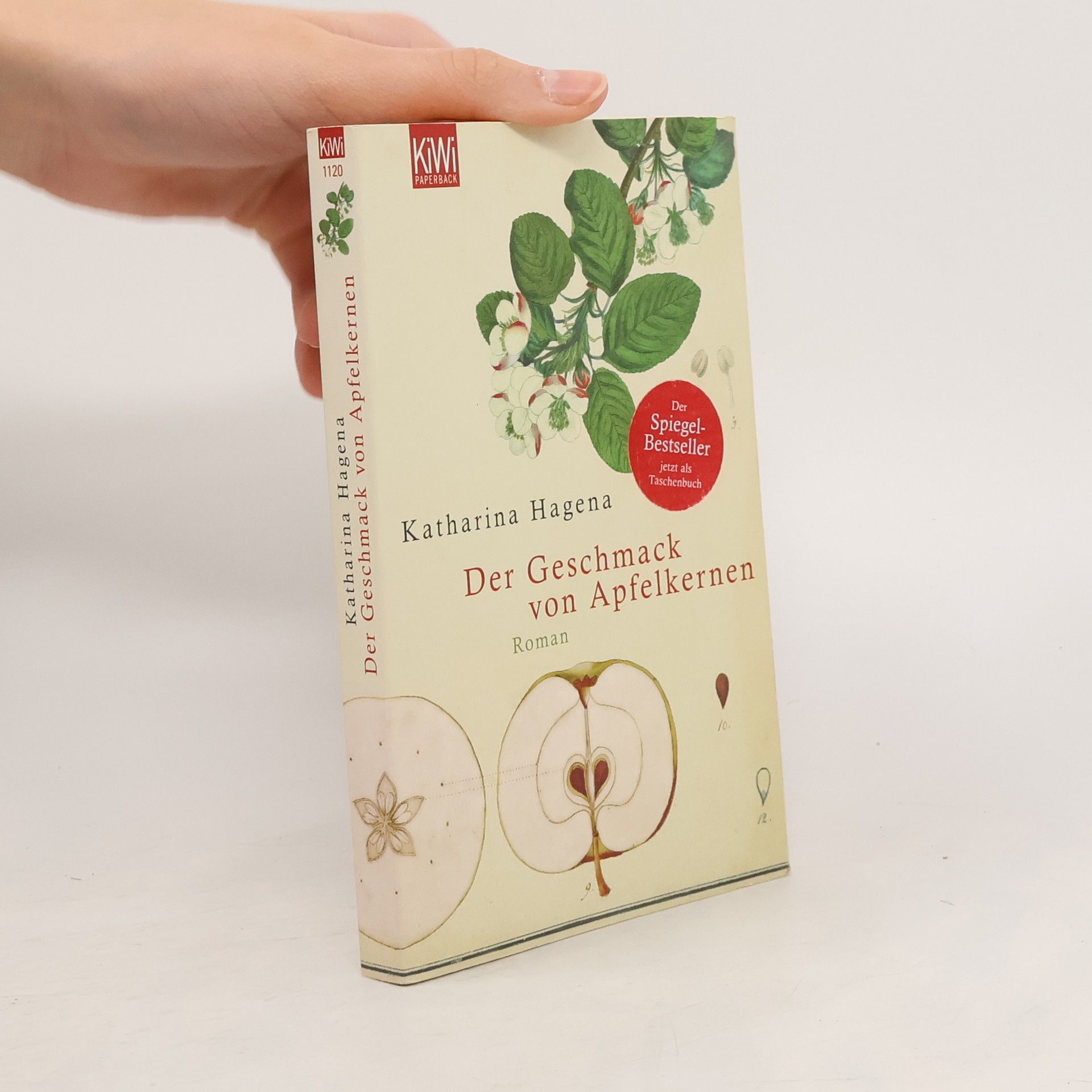 Katharina Hagena Der Geschmack von Apfelkernen