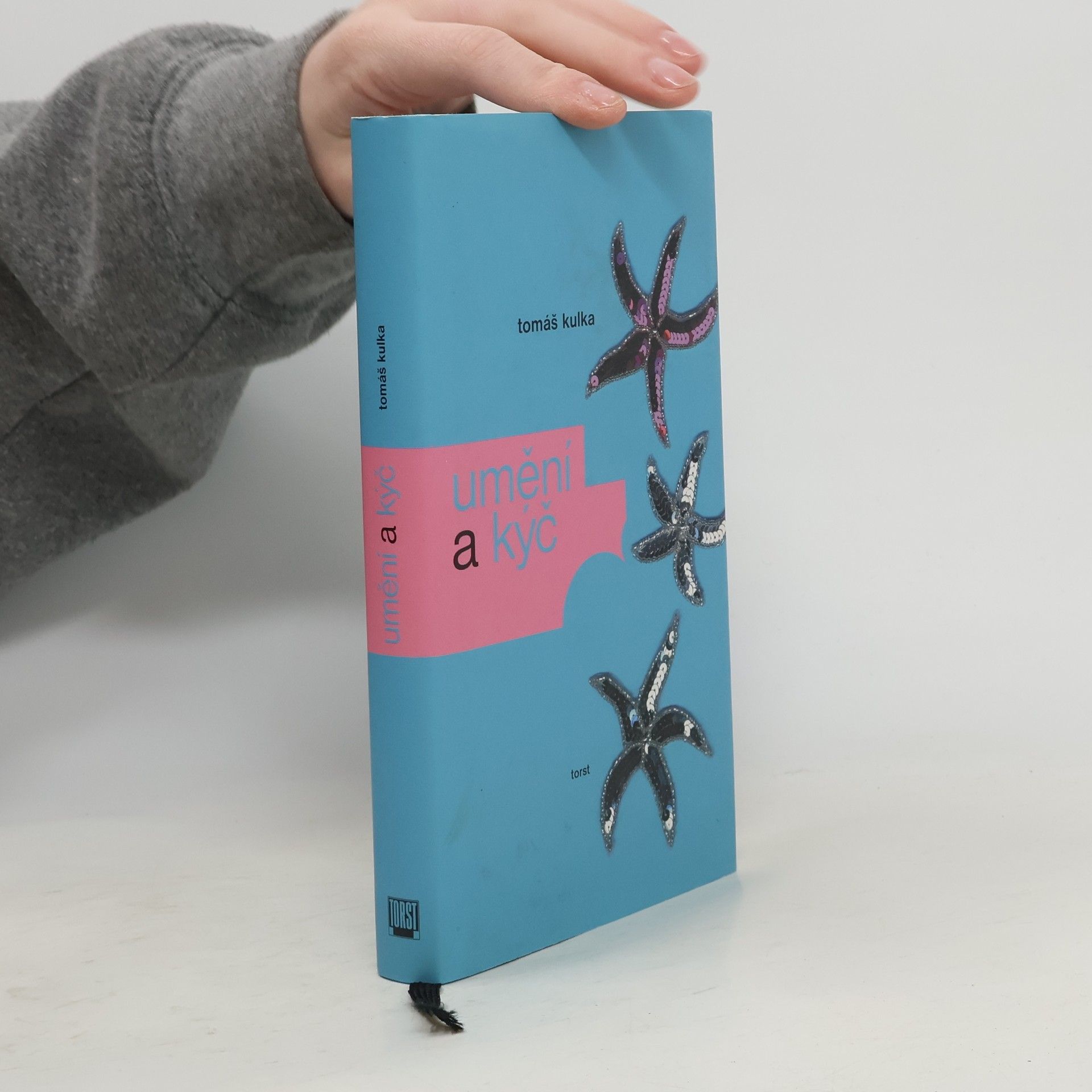 Tomáš Kulka Umění a kýč