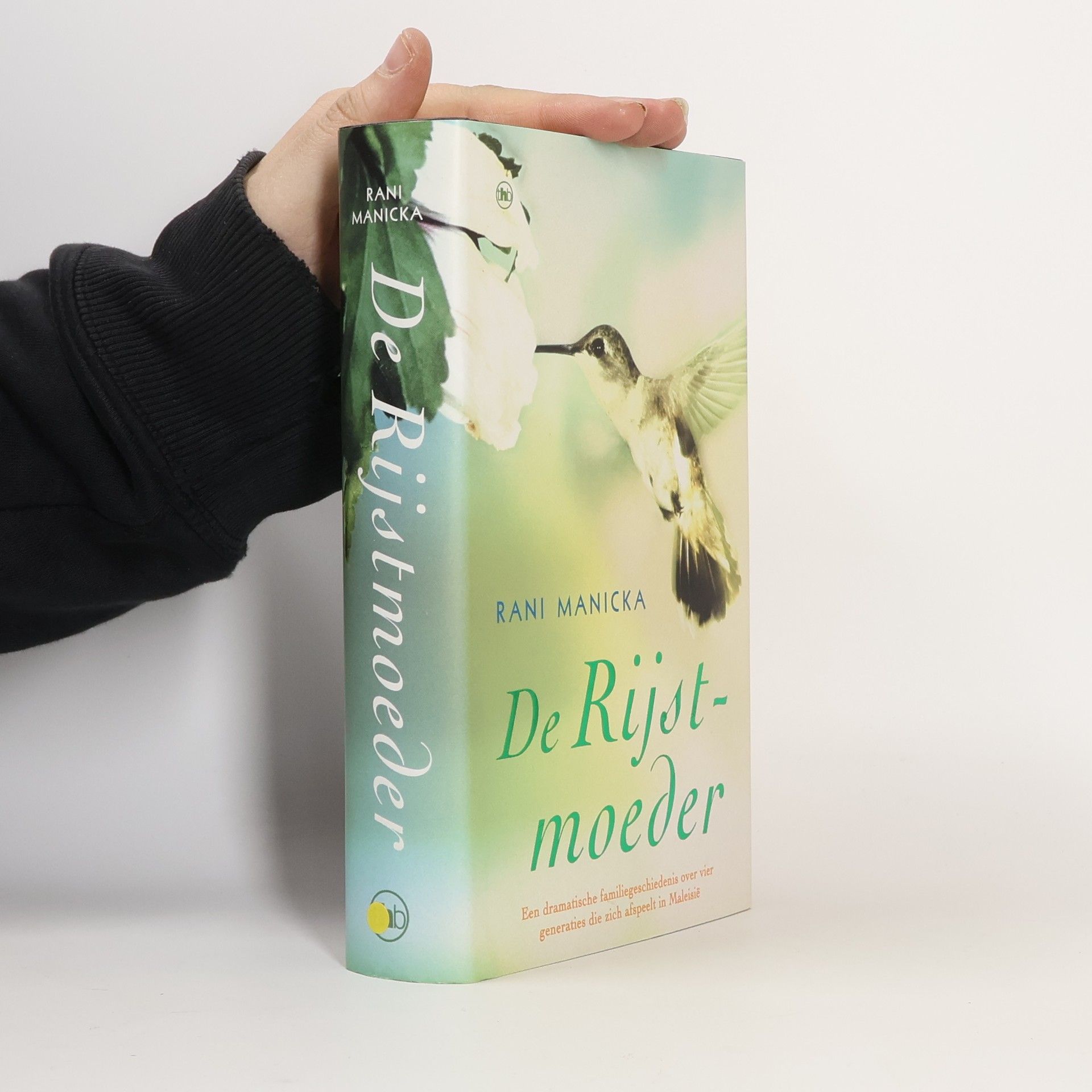 Ineke van Bronswijk De rijstmoeder