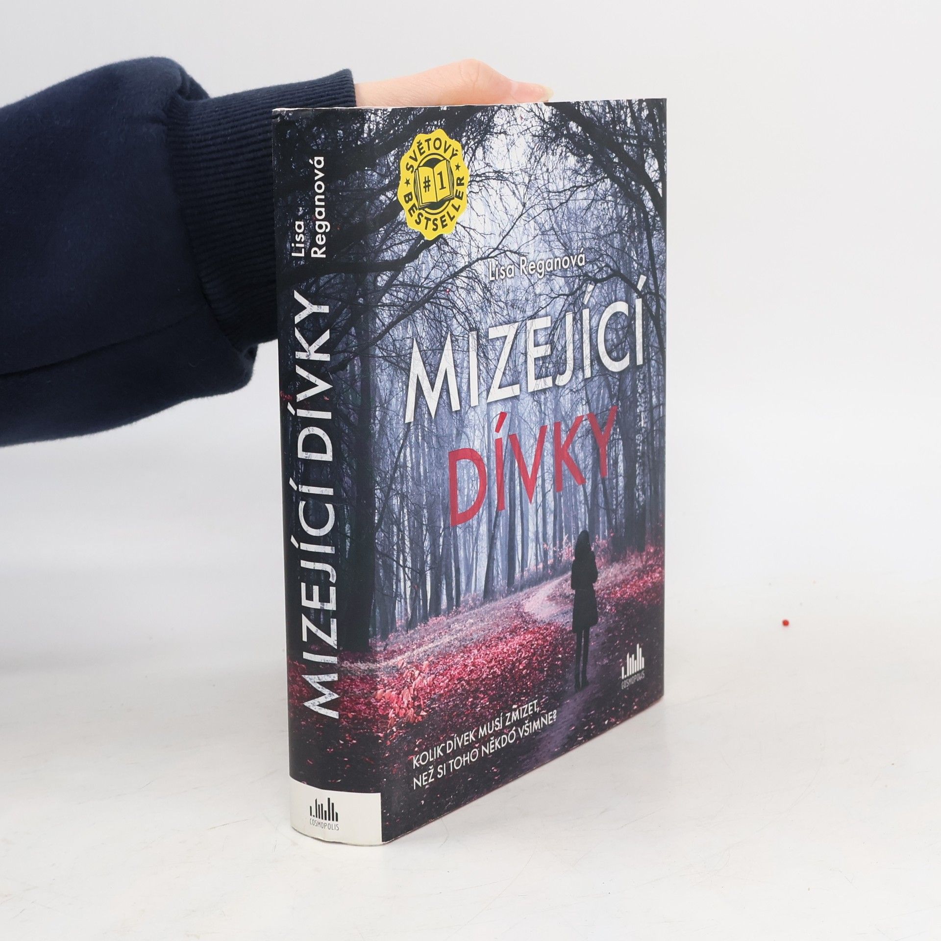 Lisa Regan Mizející dívky