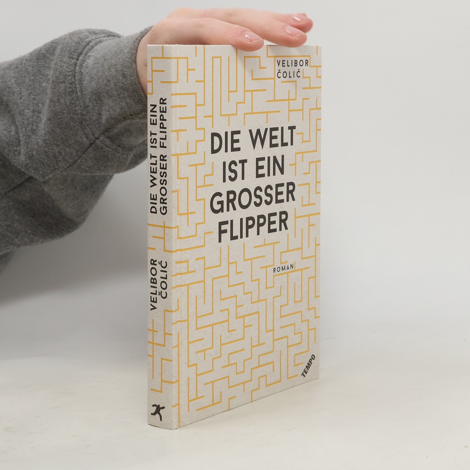 Velibor Čolić Die Welt ist ein grosser Flipper