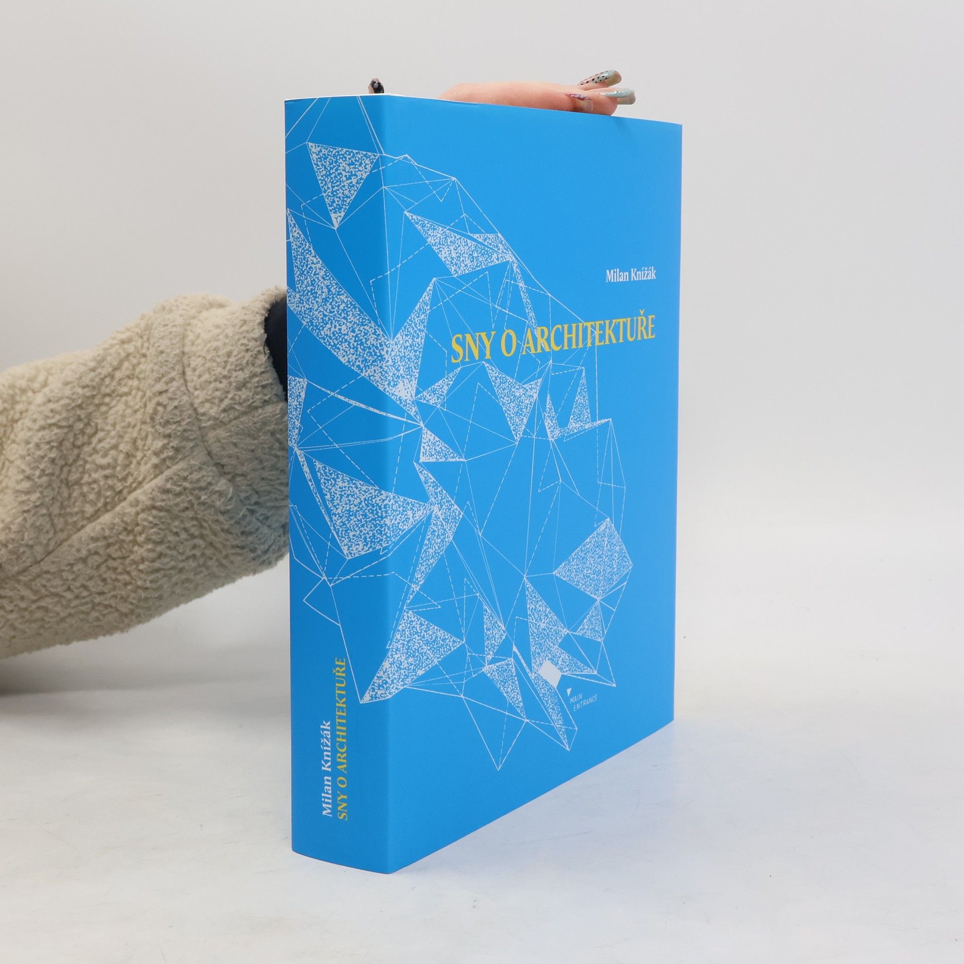 Milan Knížák Sny o architektuře