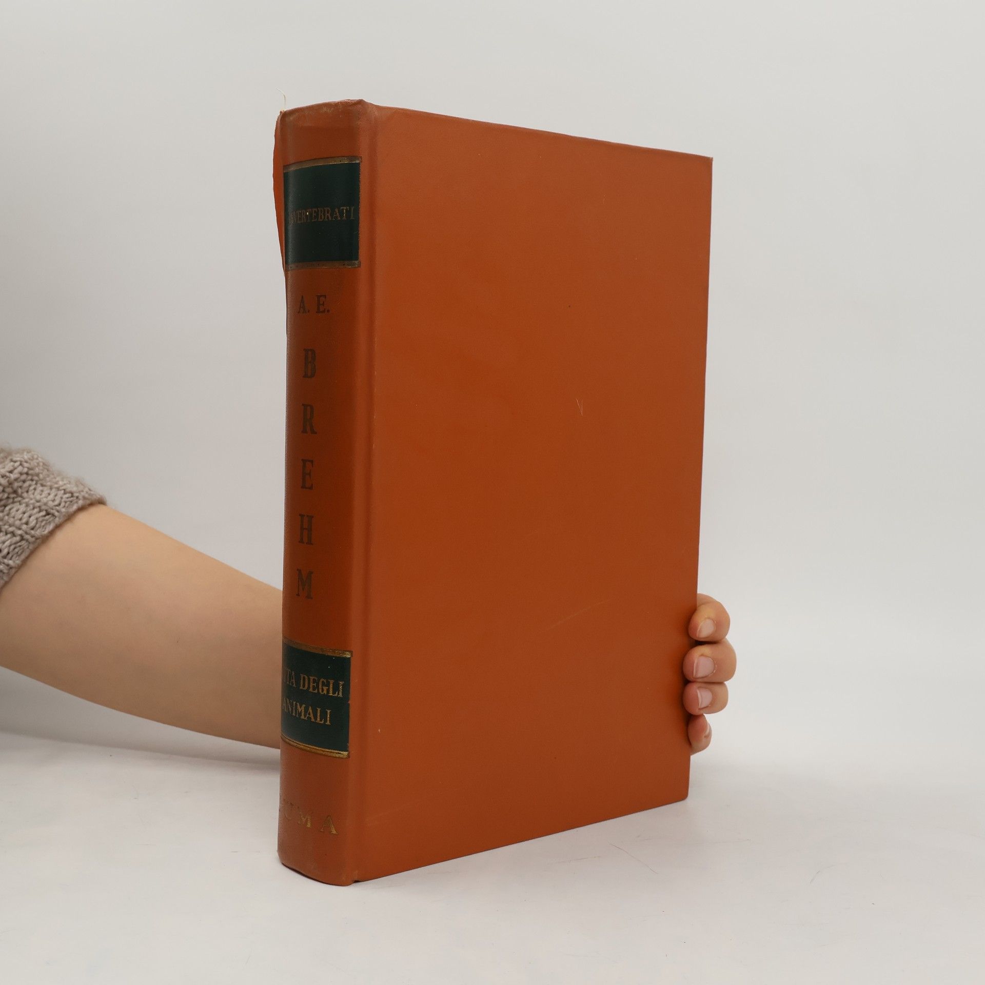 Alfred Edmund Brehm Vita degli animali VI