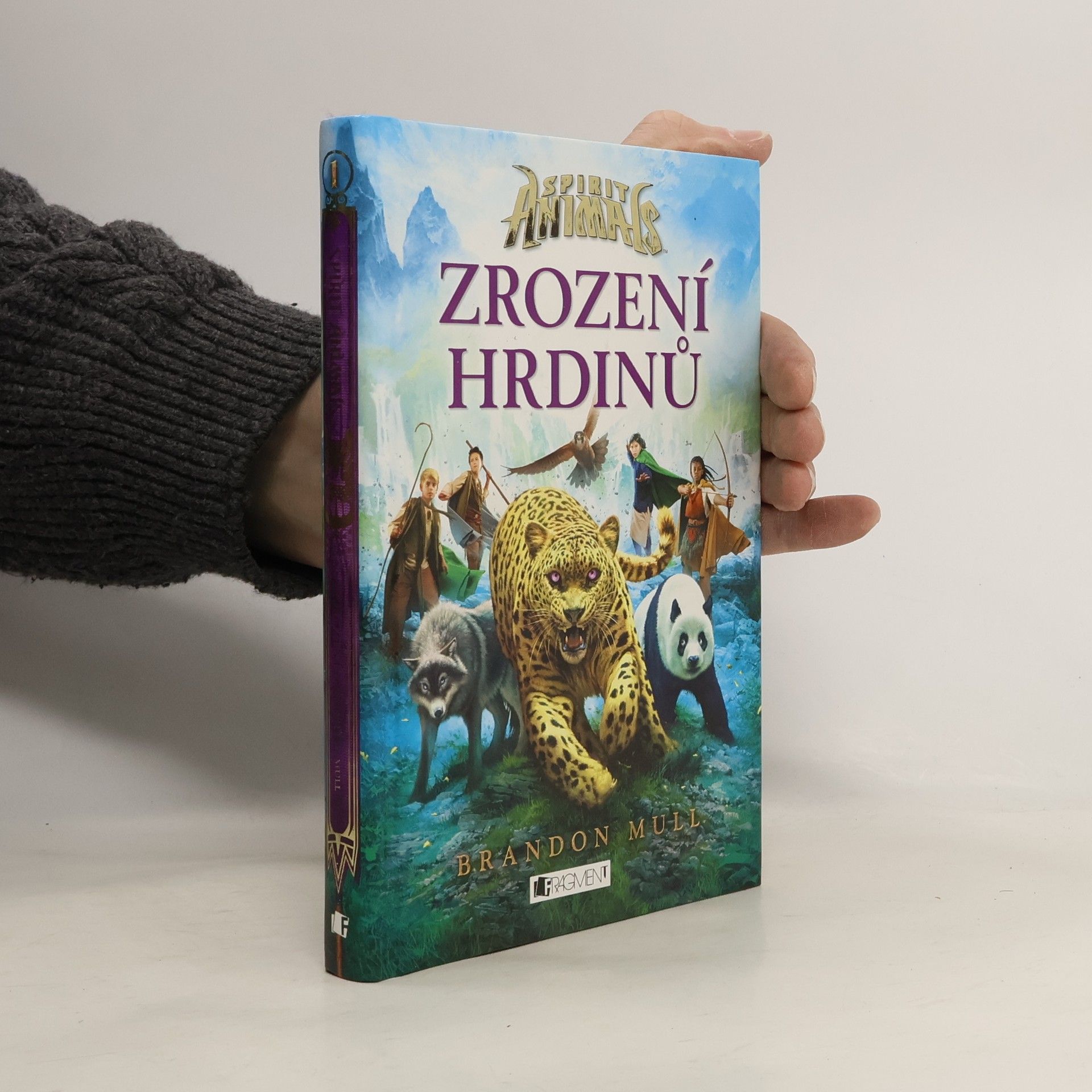 Brandon Mull Zrození hrdinů