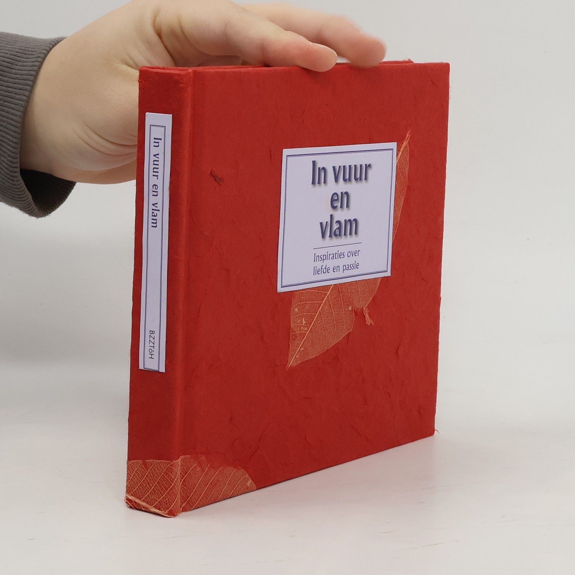 E. Mikkers In vuur en vlam