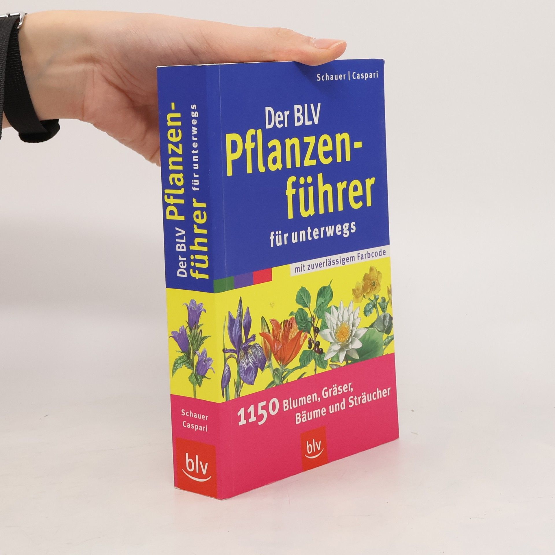 Schauer Der BLV Pflanzenführer für unterwegs