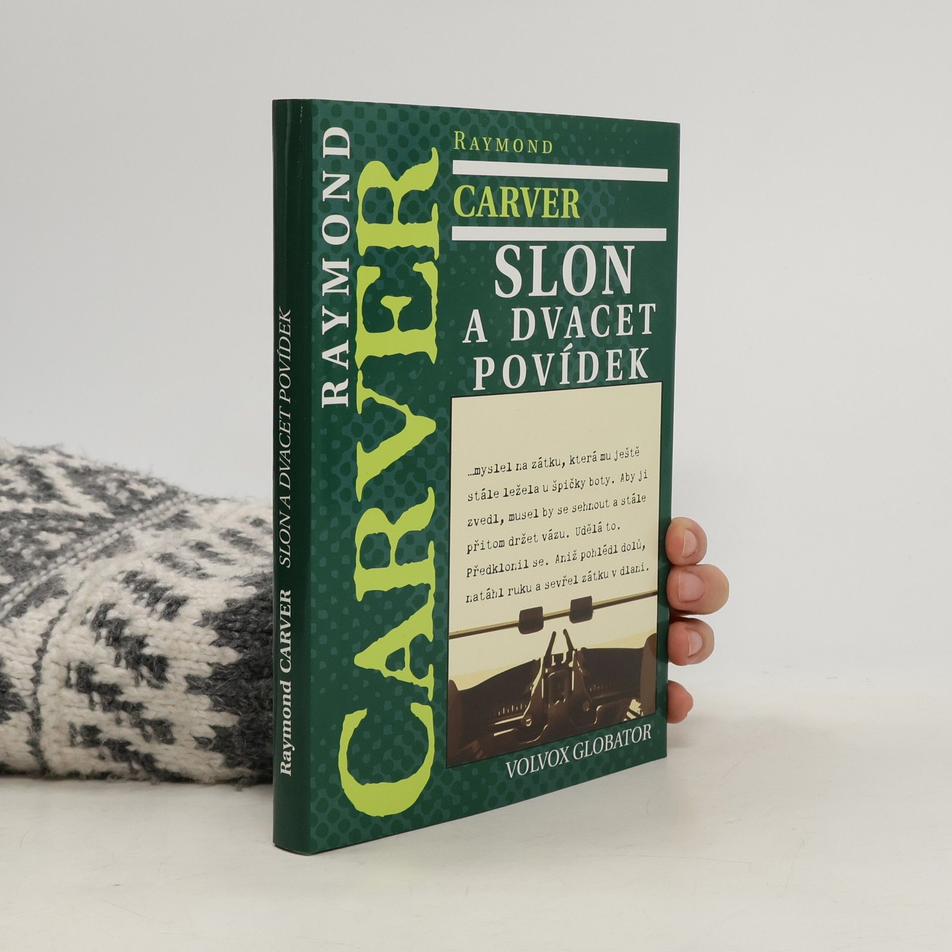 Raymond Carver Slon a dvacet povídek