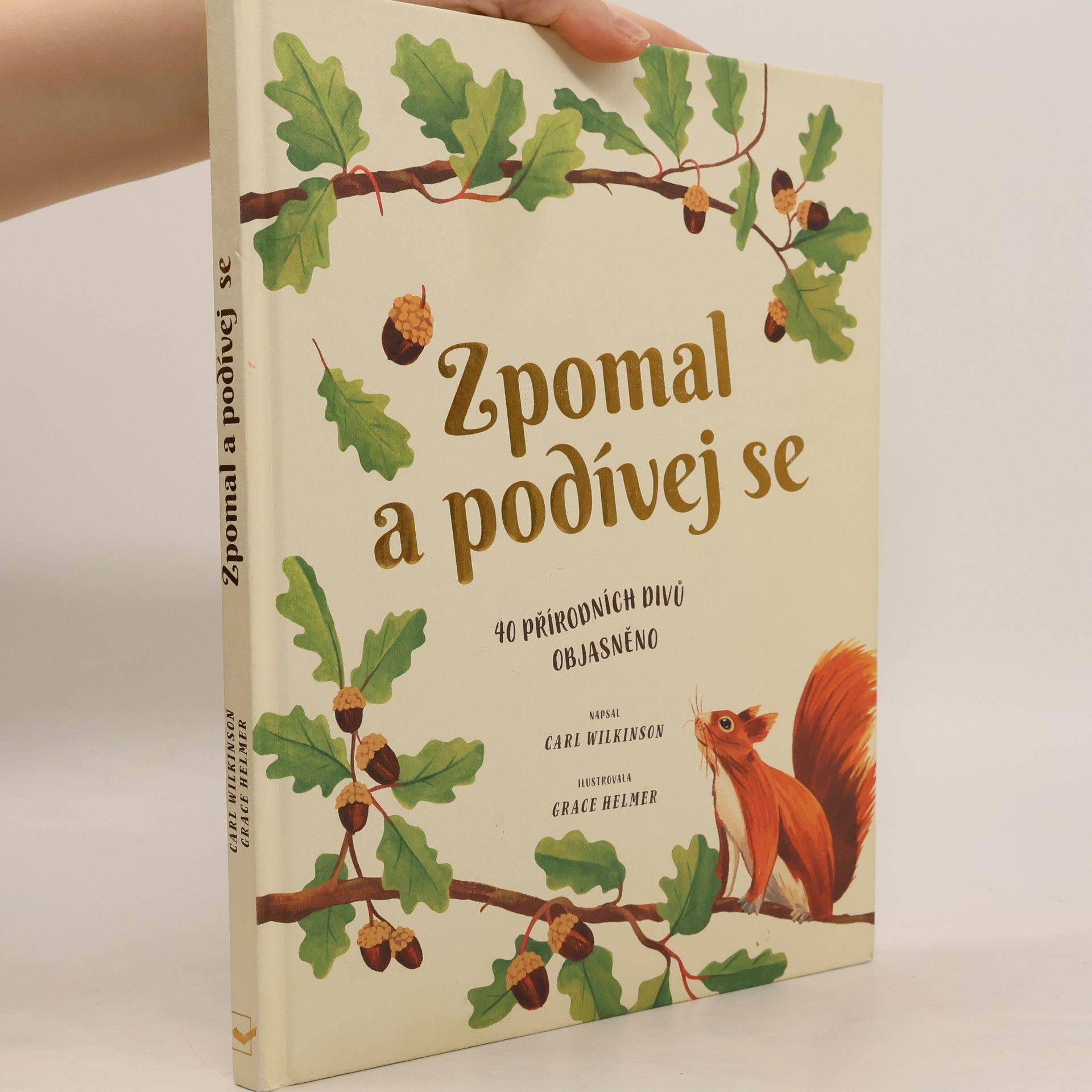 Zpomal a podívej se