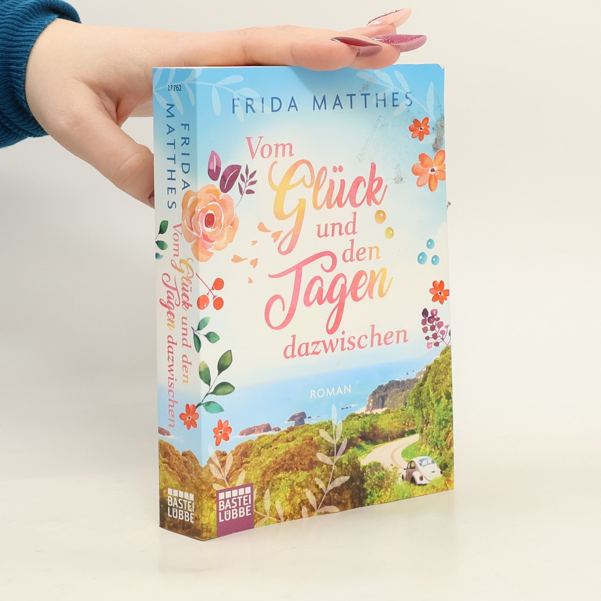 Frida Matthes Vom Glück und den Tagen dazwischen