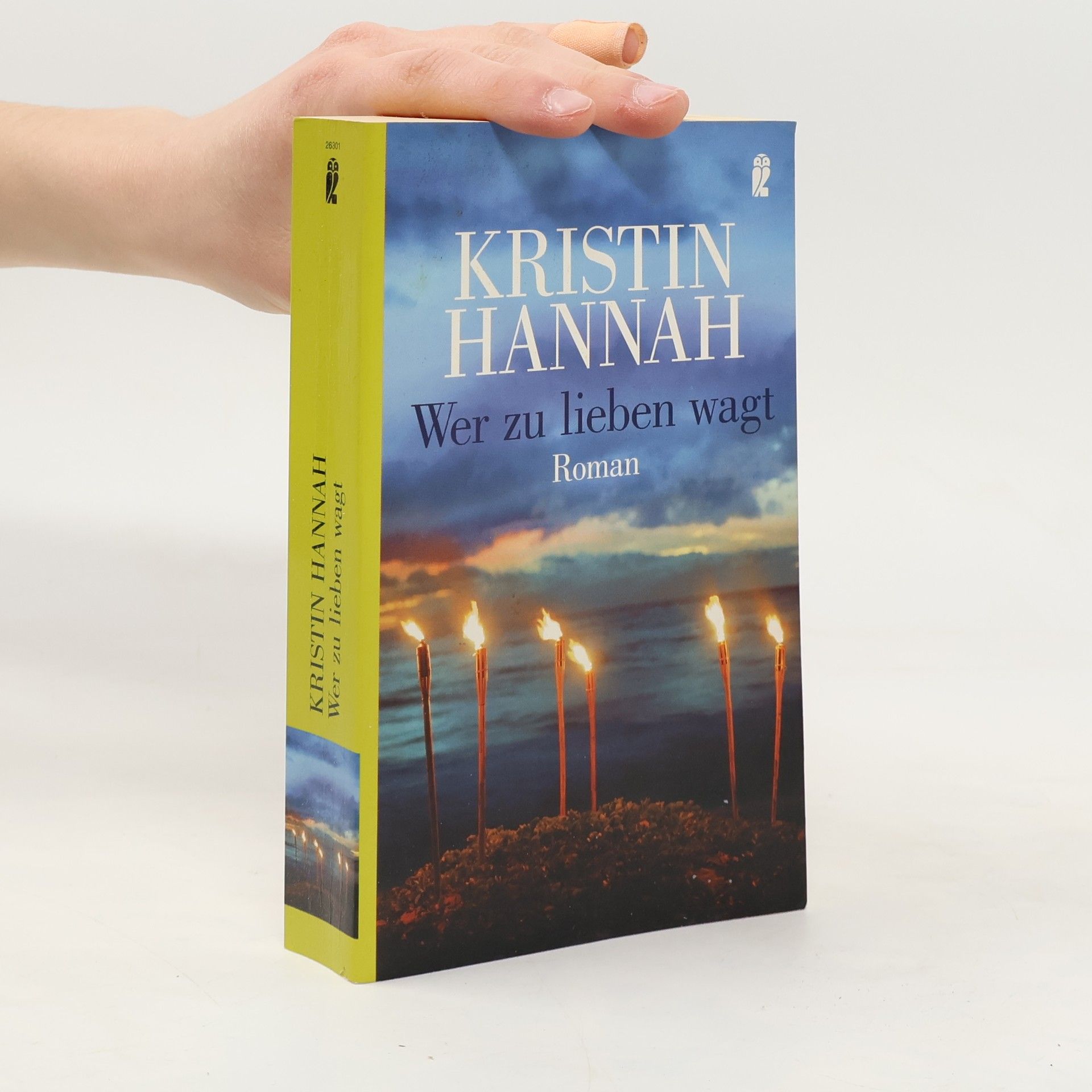 Kristin Hannah Wer zu lieben wagt
