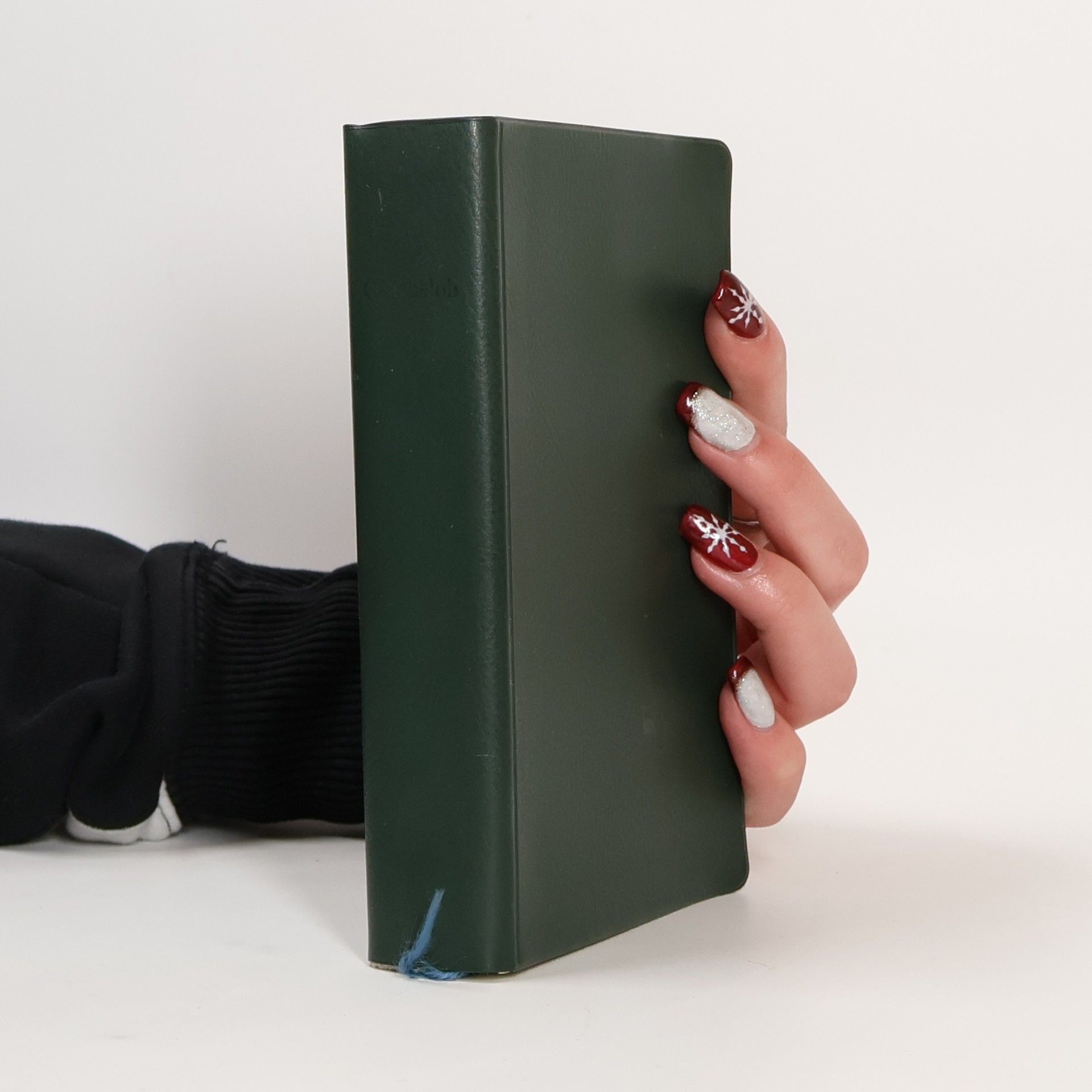 Kolektiv autorů Gotteslob. Katholisches Gebet und Gesangbuch mit dem Anhang für Erzbistum Paderborn