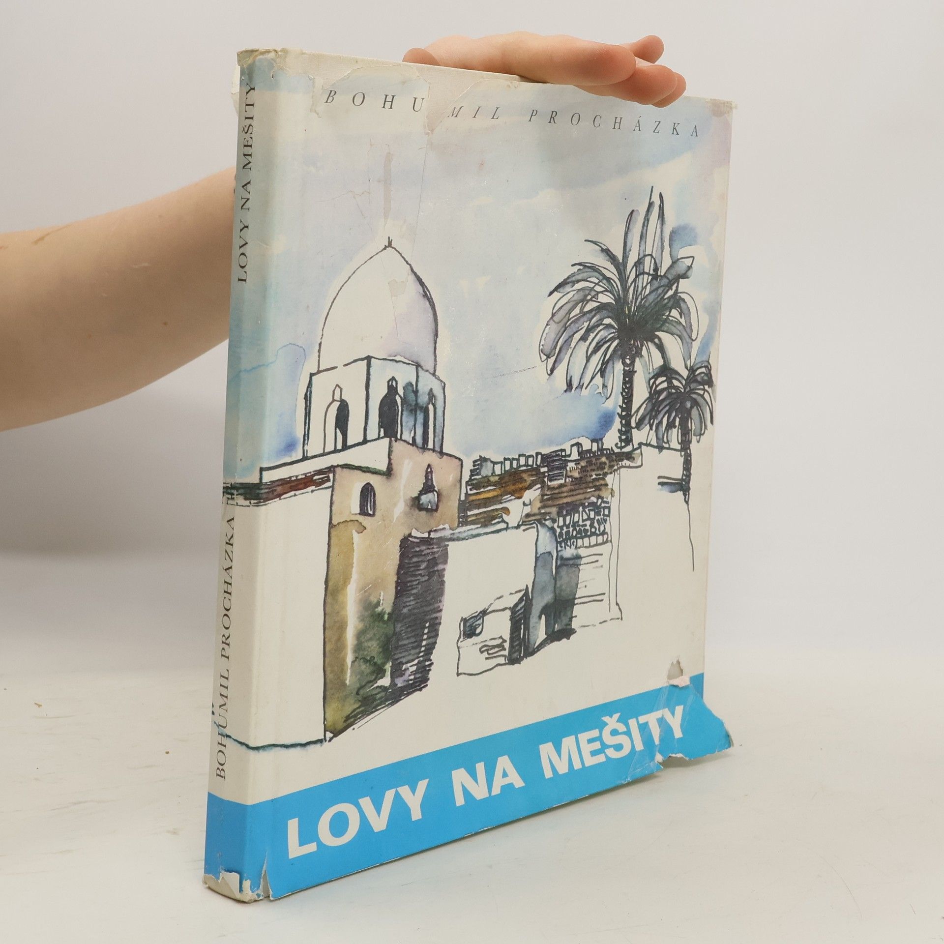 Amjad Bohumil Procházka Lovy na mešity